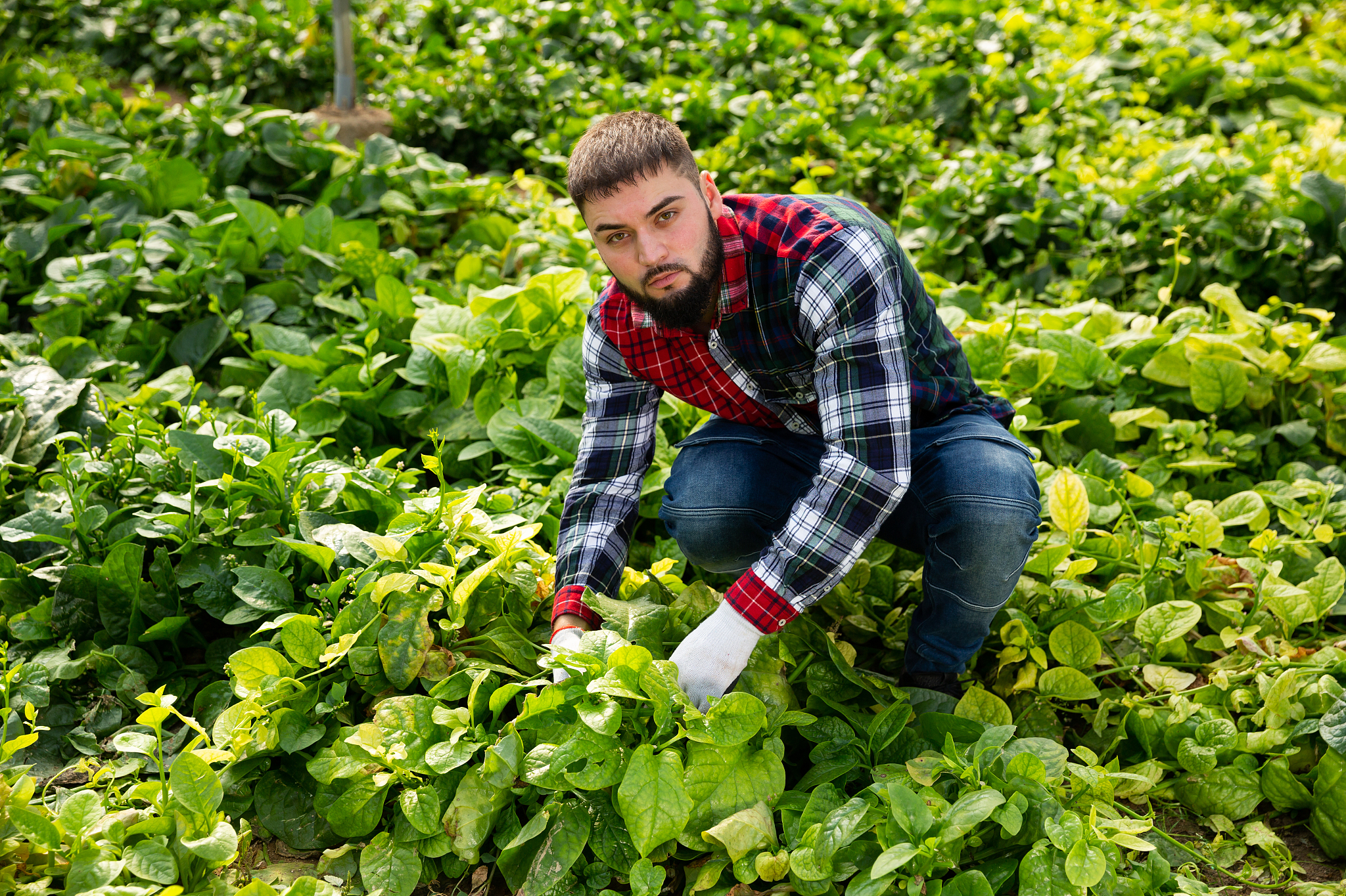 甘肃畜牧工程职业技术学院2023年招生简章