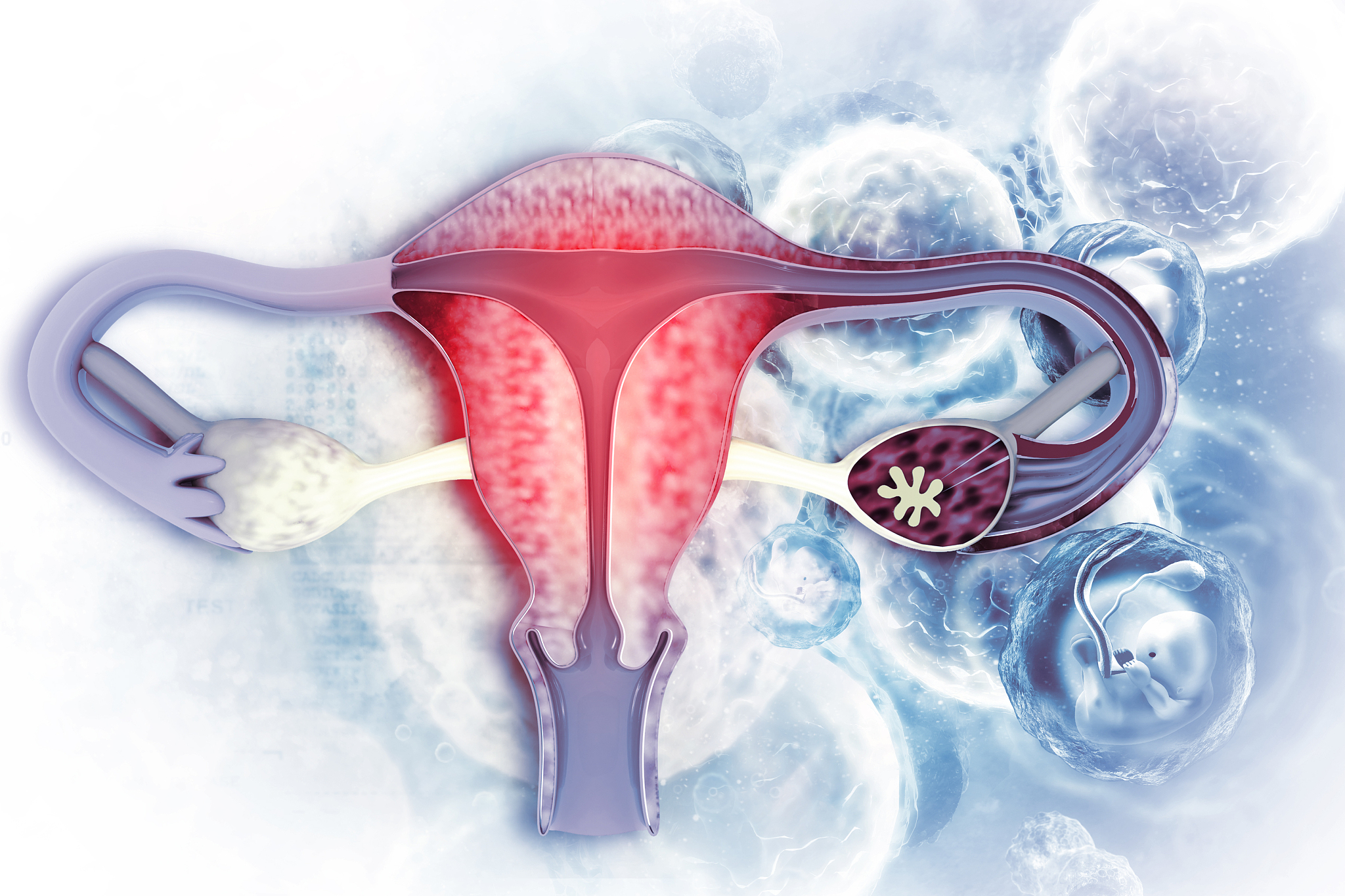 人流手术对女性生殖健康的影响研究？