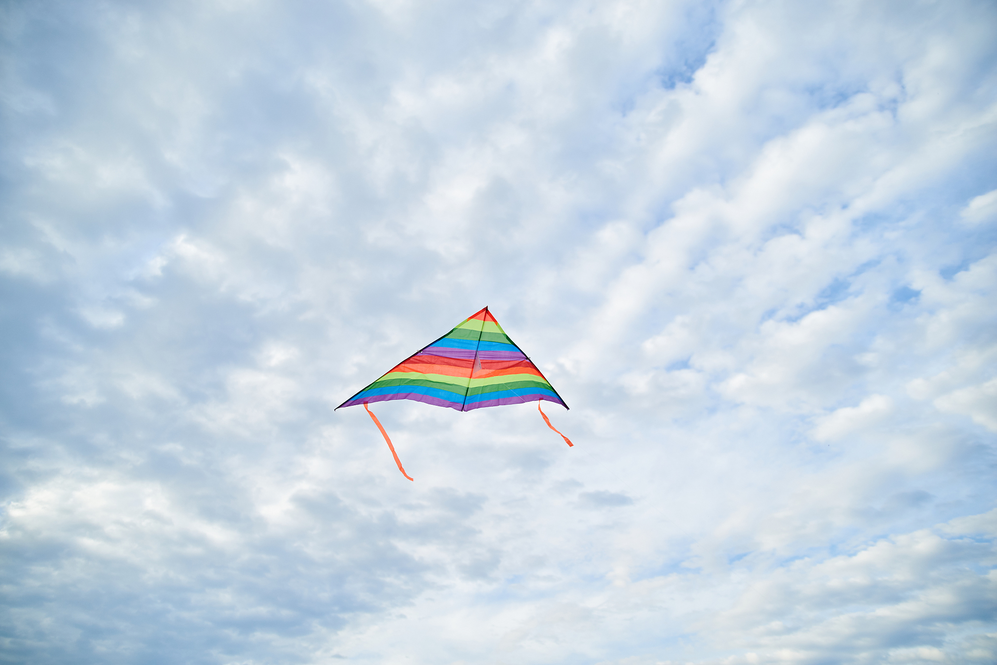 walk with kite