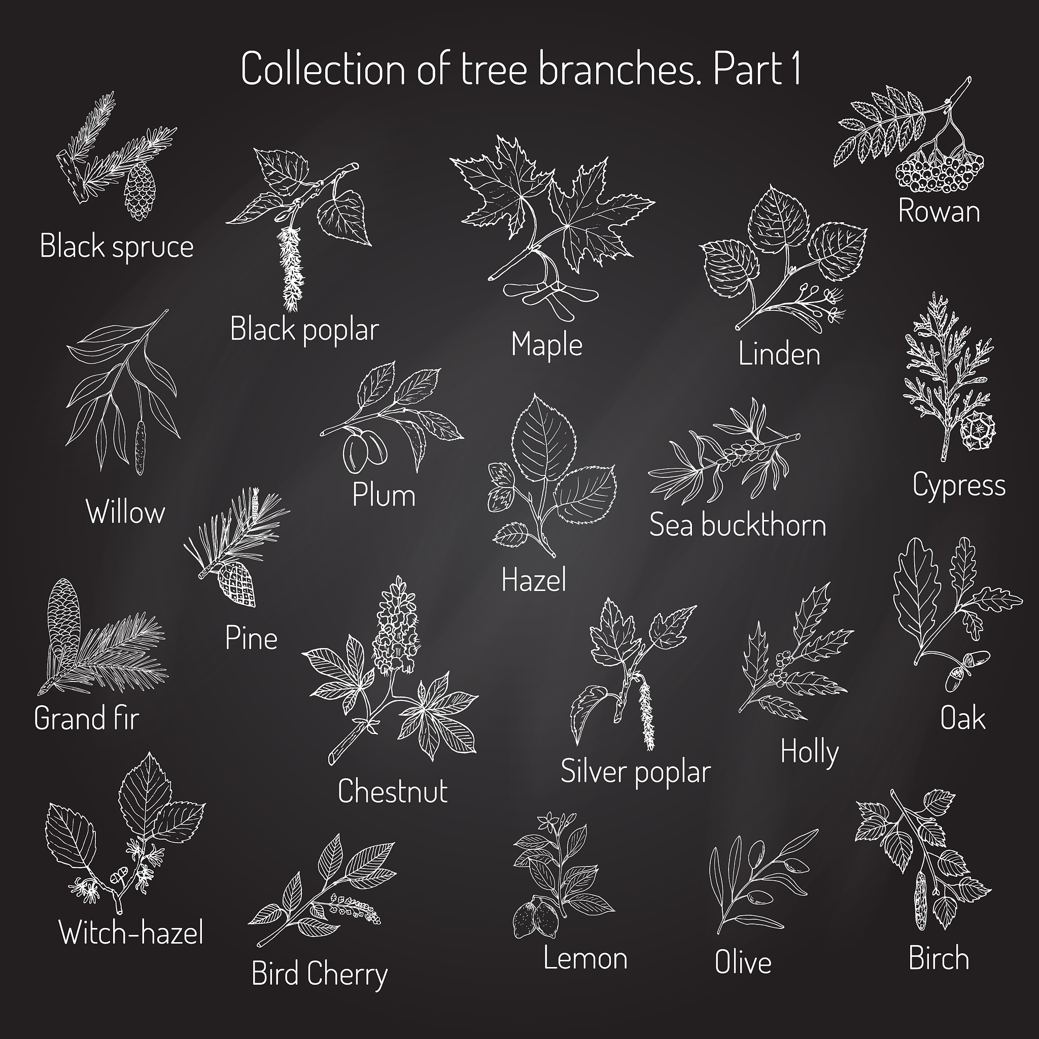 #include stdioh#include stdlibh#define MAX_VERTEX_NUM 100 最大顶点数#define MAX_EDGE_NUM 100 最大边数边结构体typedef struct int tail; 边的起点 int head; 边的终点 int weight; 边的权值 Edge;图结构体typedef struct int