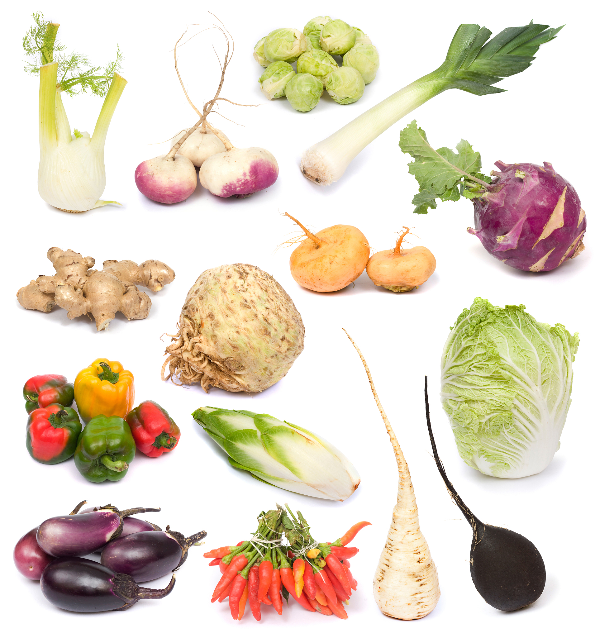 Plant-Based Diet with White Meat: A Balanced Approach to Vegetarianism