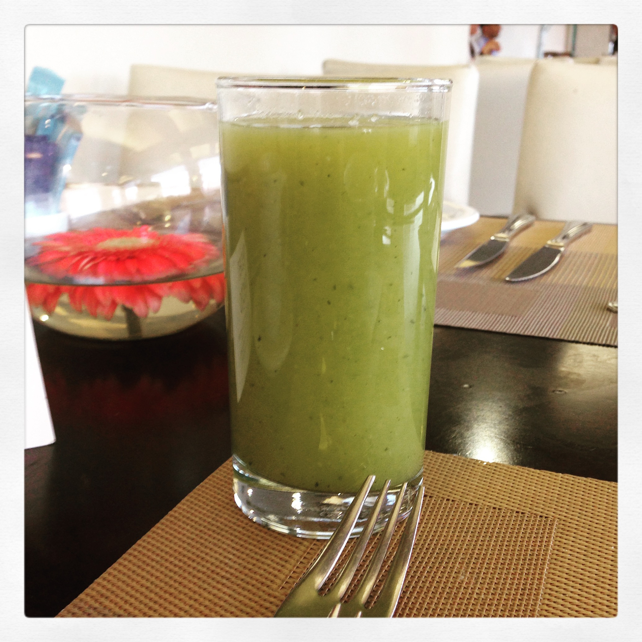 蜂蜜猕猴桃汁的做法_蜂蜜猕猴桃汁怎么做 - 营养美味，简单易学