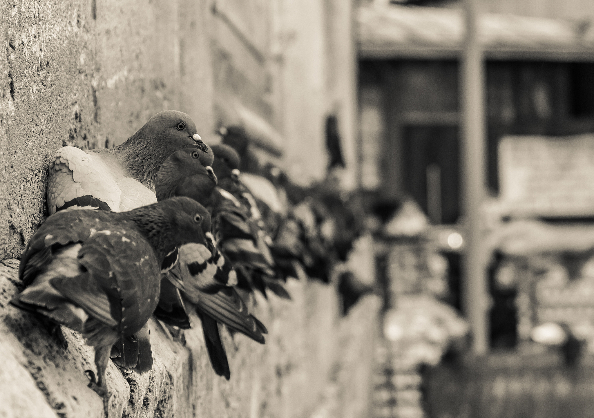 五台破相机观后感：战争的残酷与人性的复杂