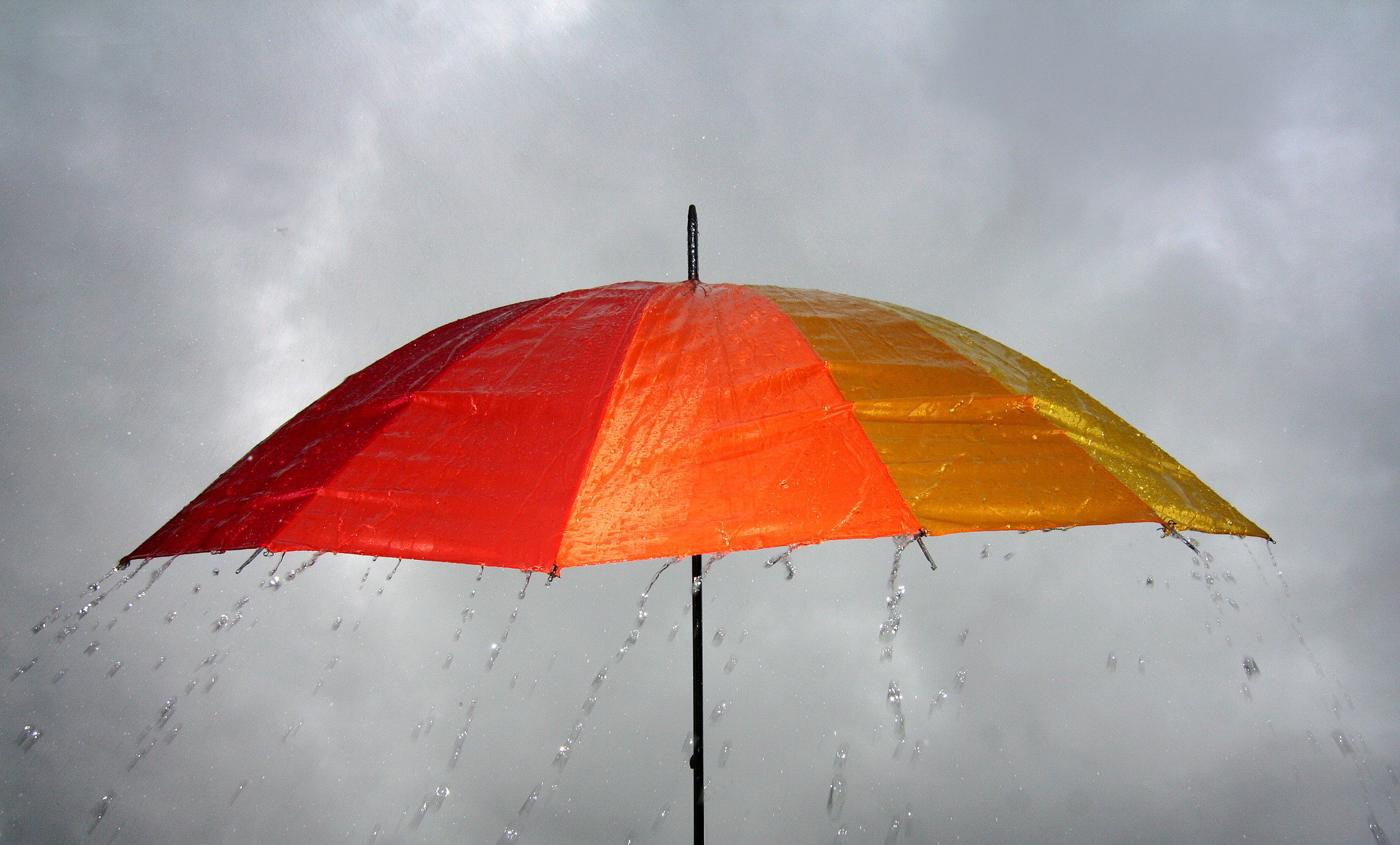 umbrella in the rain
