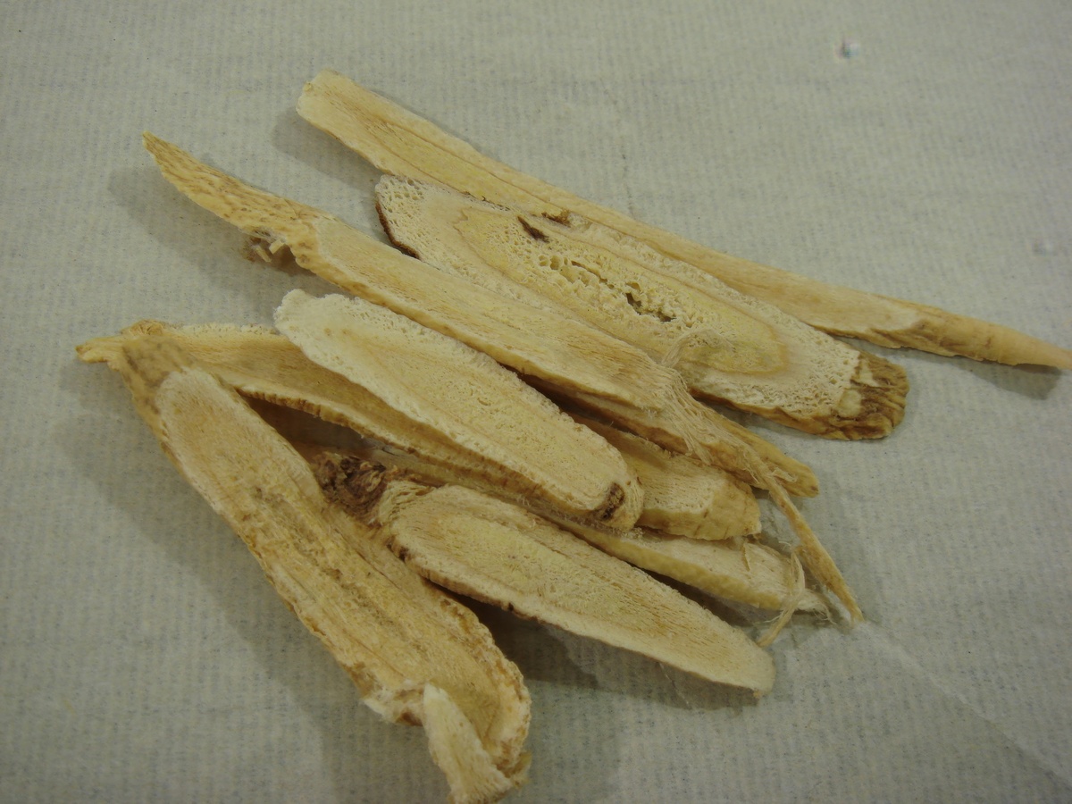 洛阳市中医药学校2023年招生简章 - 培养中医药人才，成就你的梦想