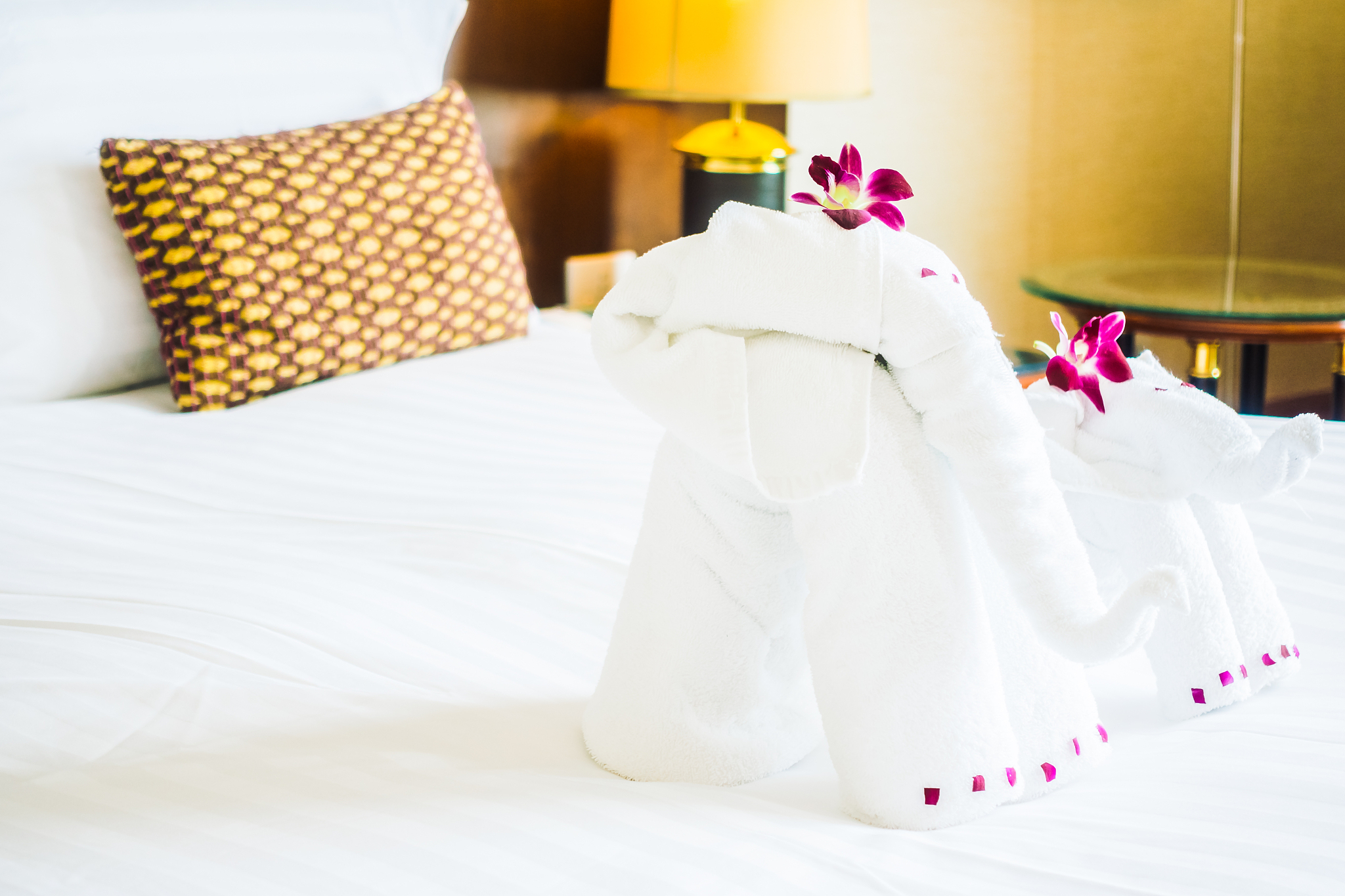 elephant towel