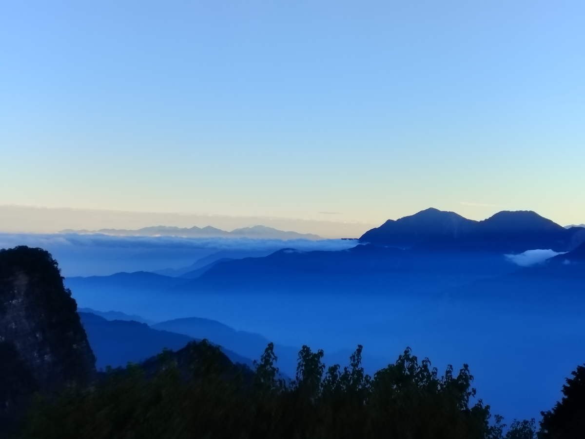 阿里山旅游攻略(阿里山旅游指南:尽享台湾的自然美景)