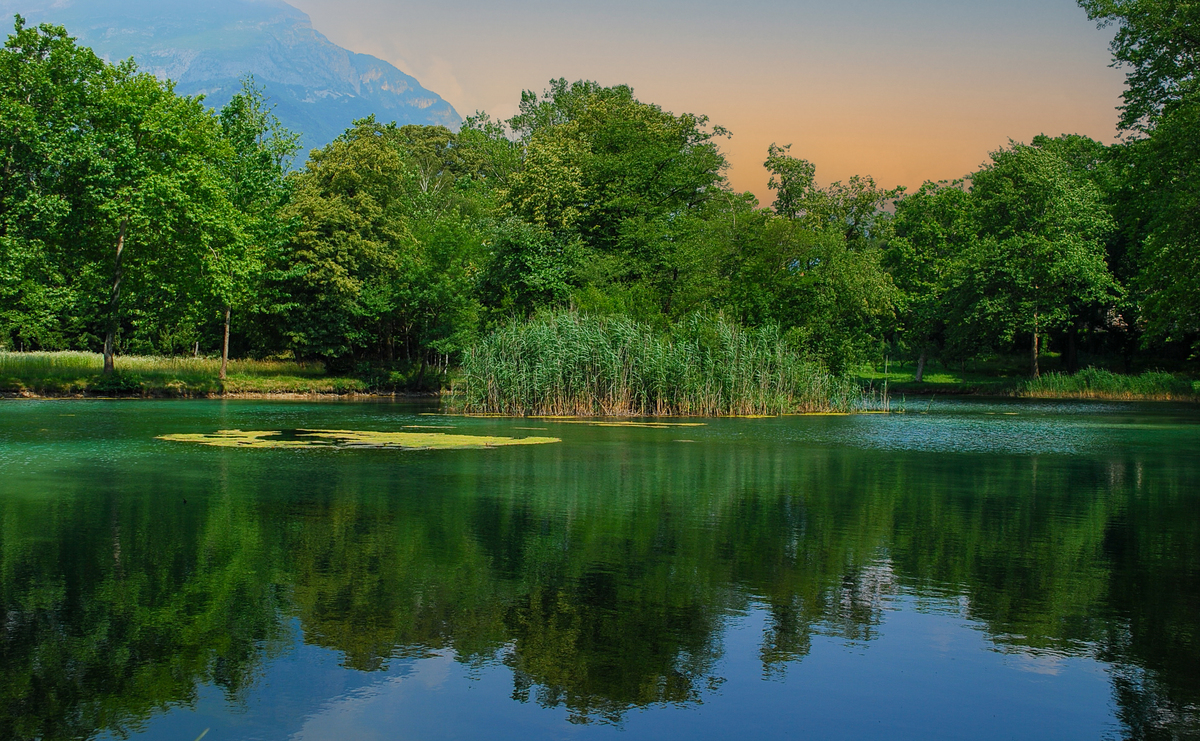 北京自然生态视频：感受清新自然，体验生态之美