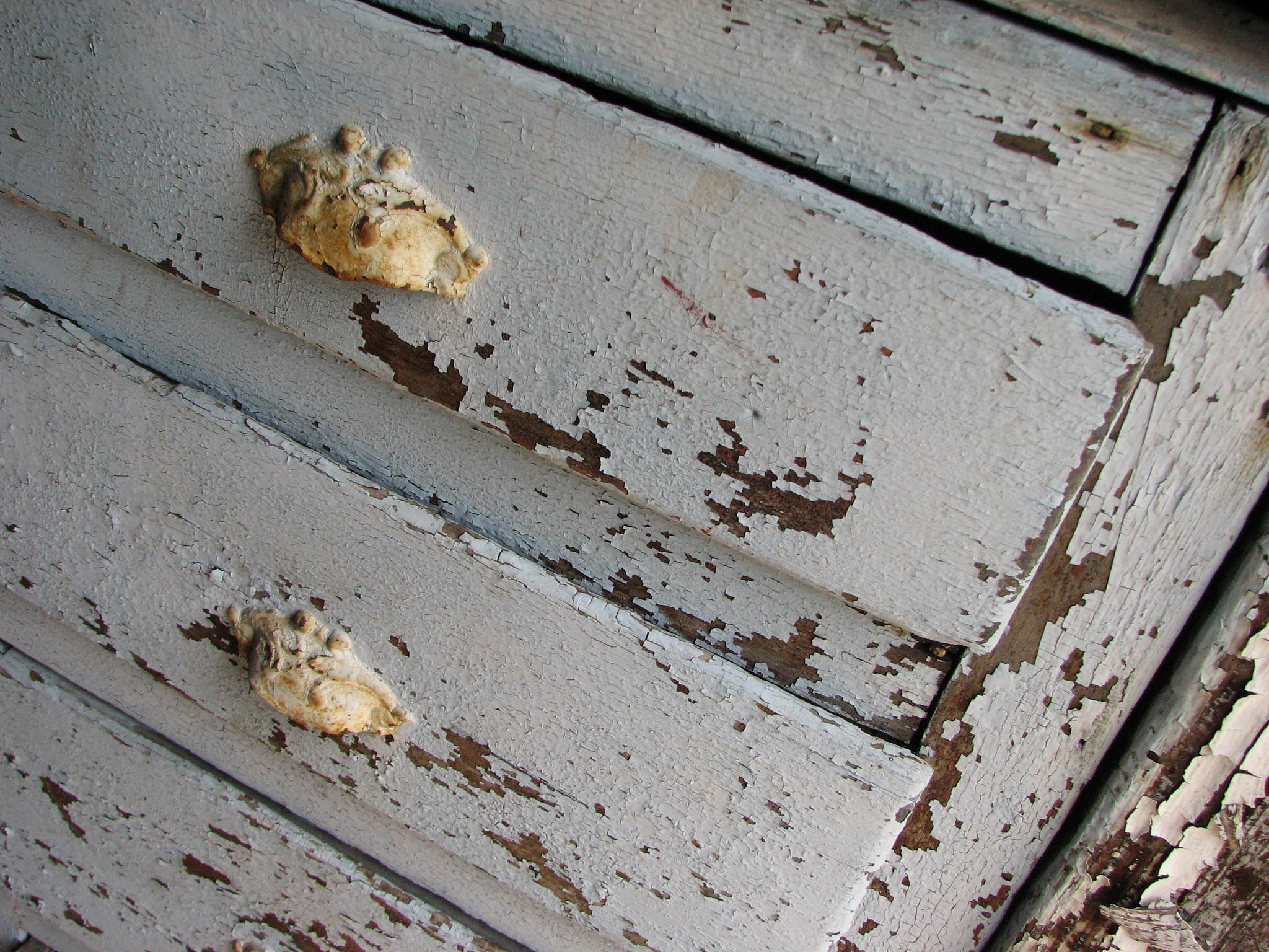 dresser drawers