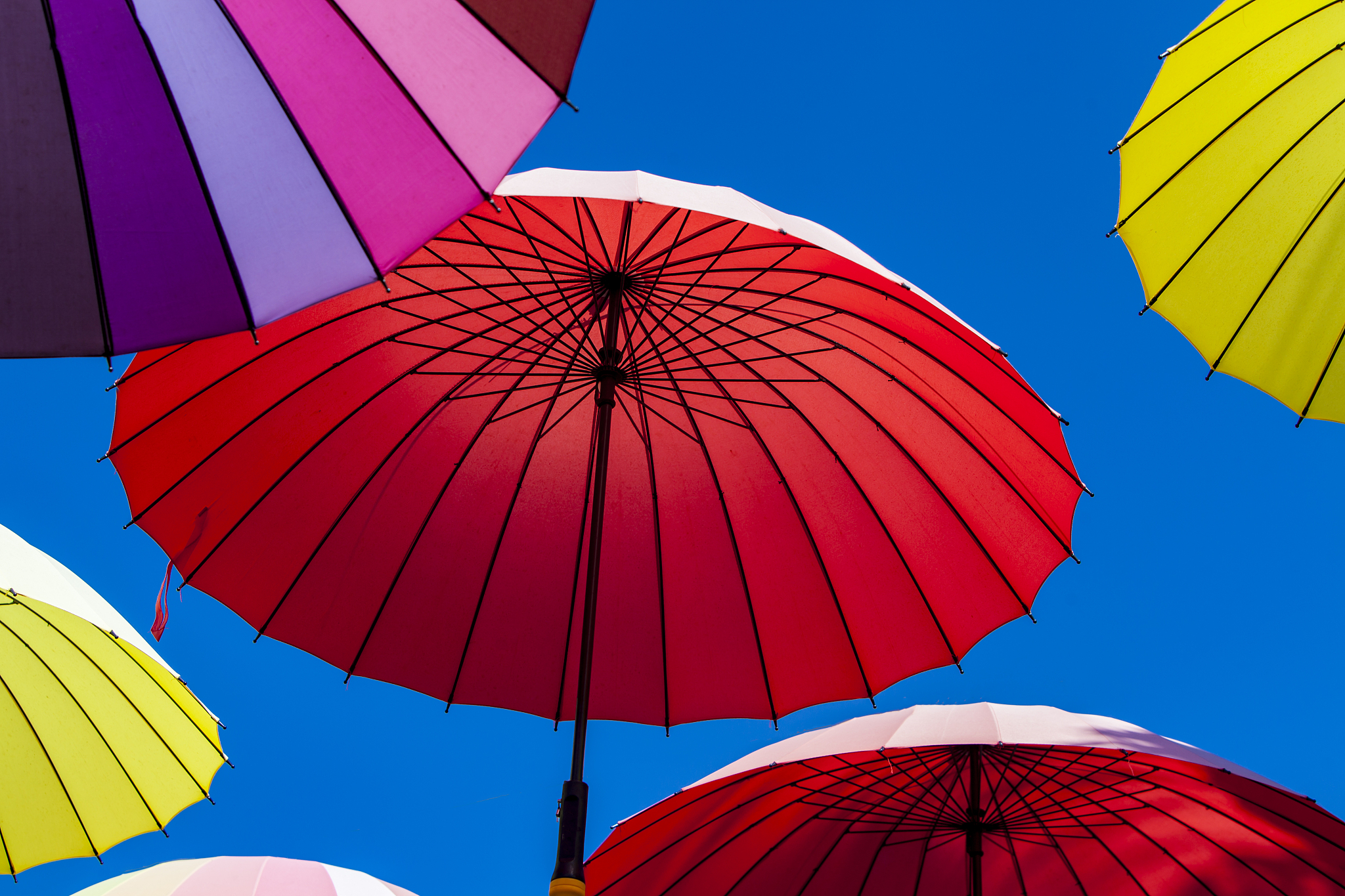 umbrellas