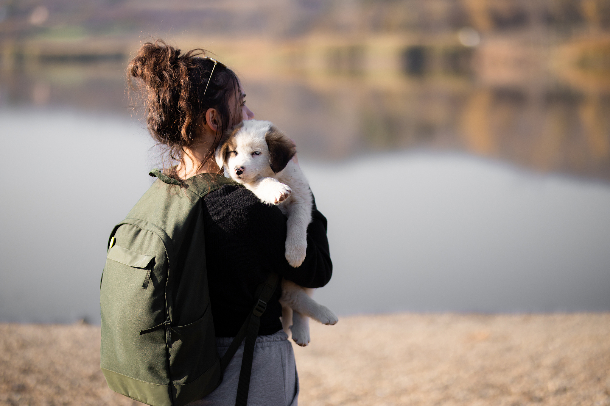 1200字为什么比起谈恋爱年轻人更喜欢把养宠物作为情感寄托？