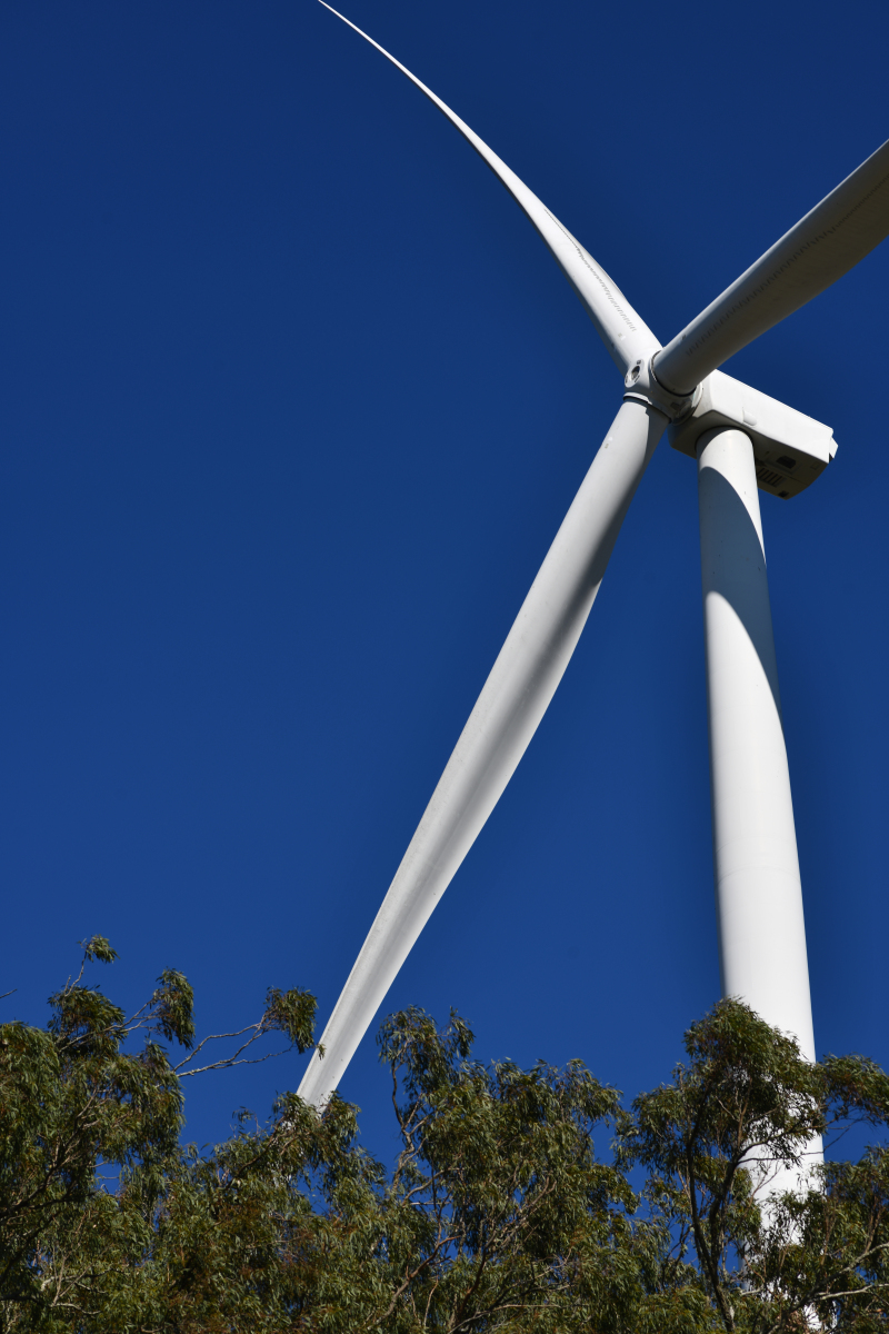 风力发电专业院校推荐：国内外高校及未来发展趋势