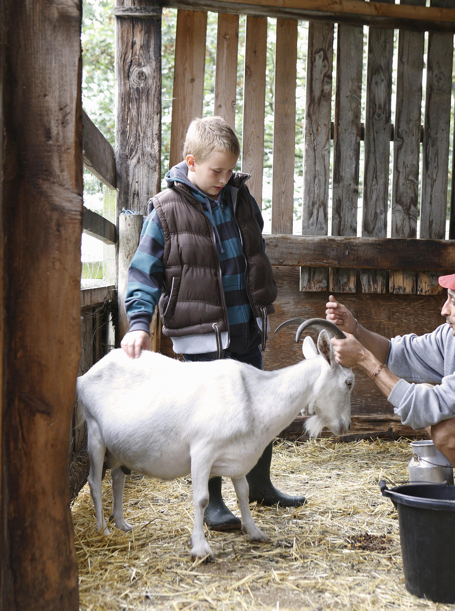 Rich Dad Poor Dad vs. Goat Milk: A Discussion on Wealth Building