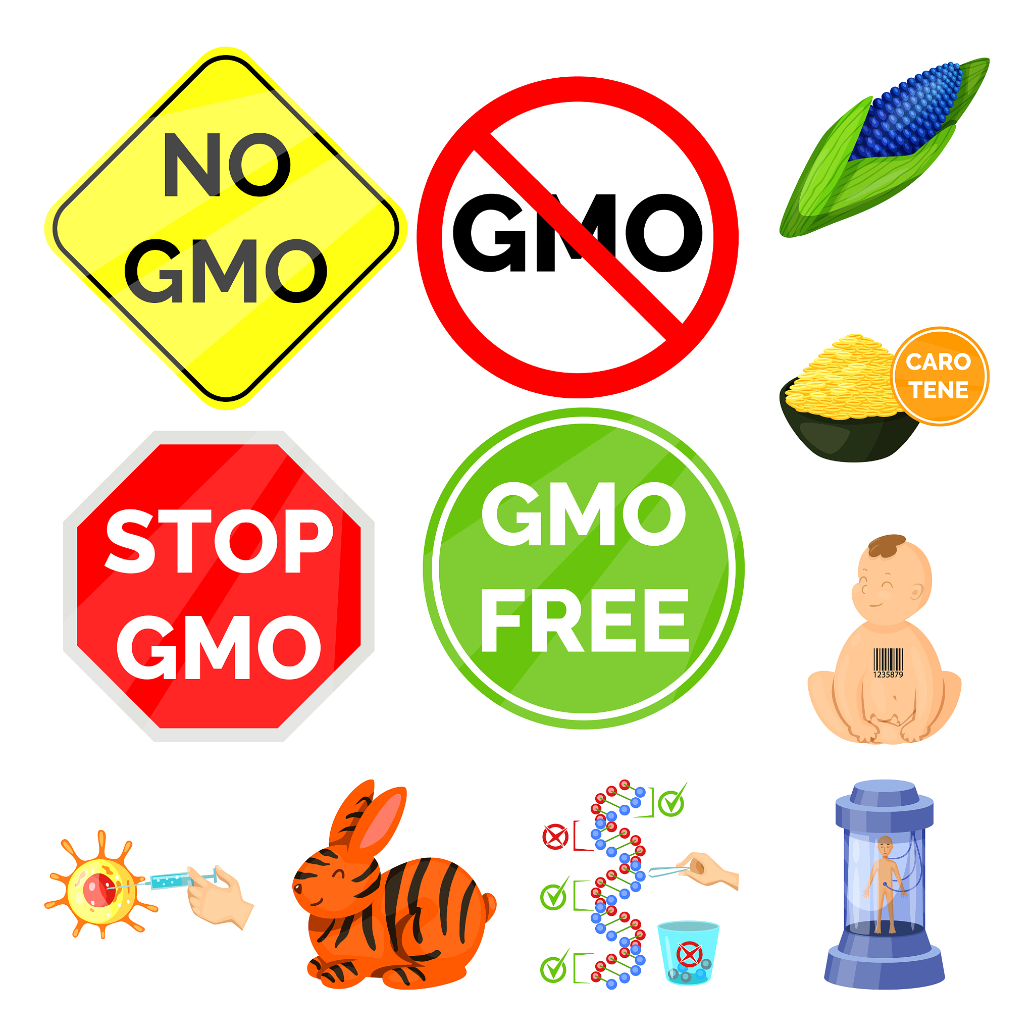 山东恒信生物科技1000字