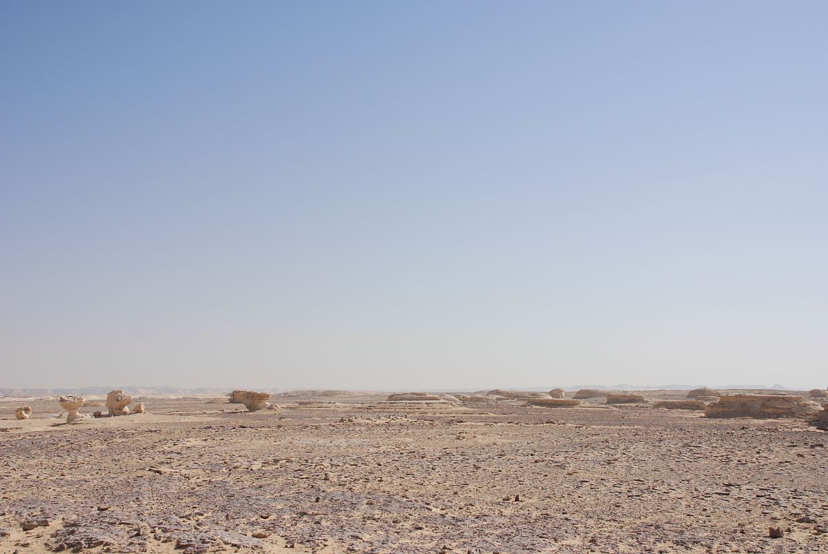 《怪奇物语》限定打卡点怎么介绍能和健康相关