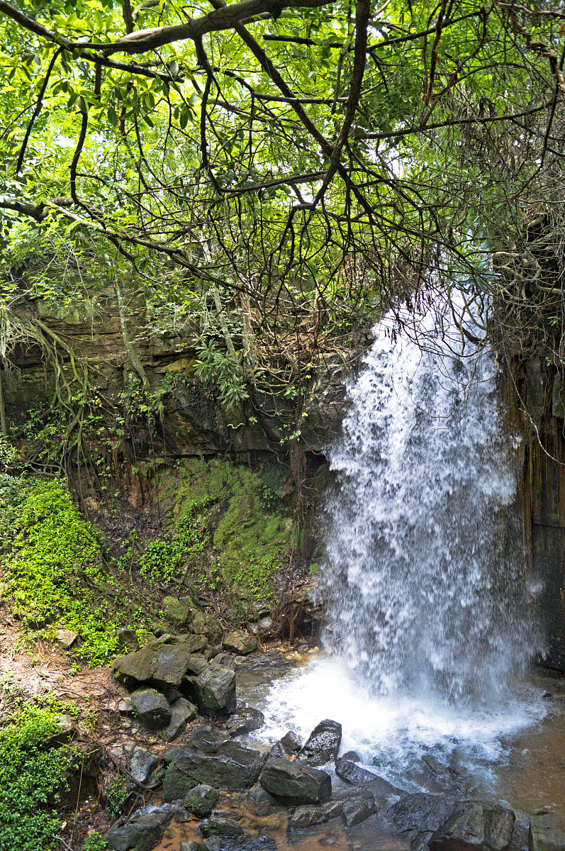 ガリバー：日本全国460店舗展開の中古車販売 (創業1994年) | 新車ディーラーを豪州で展開