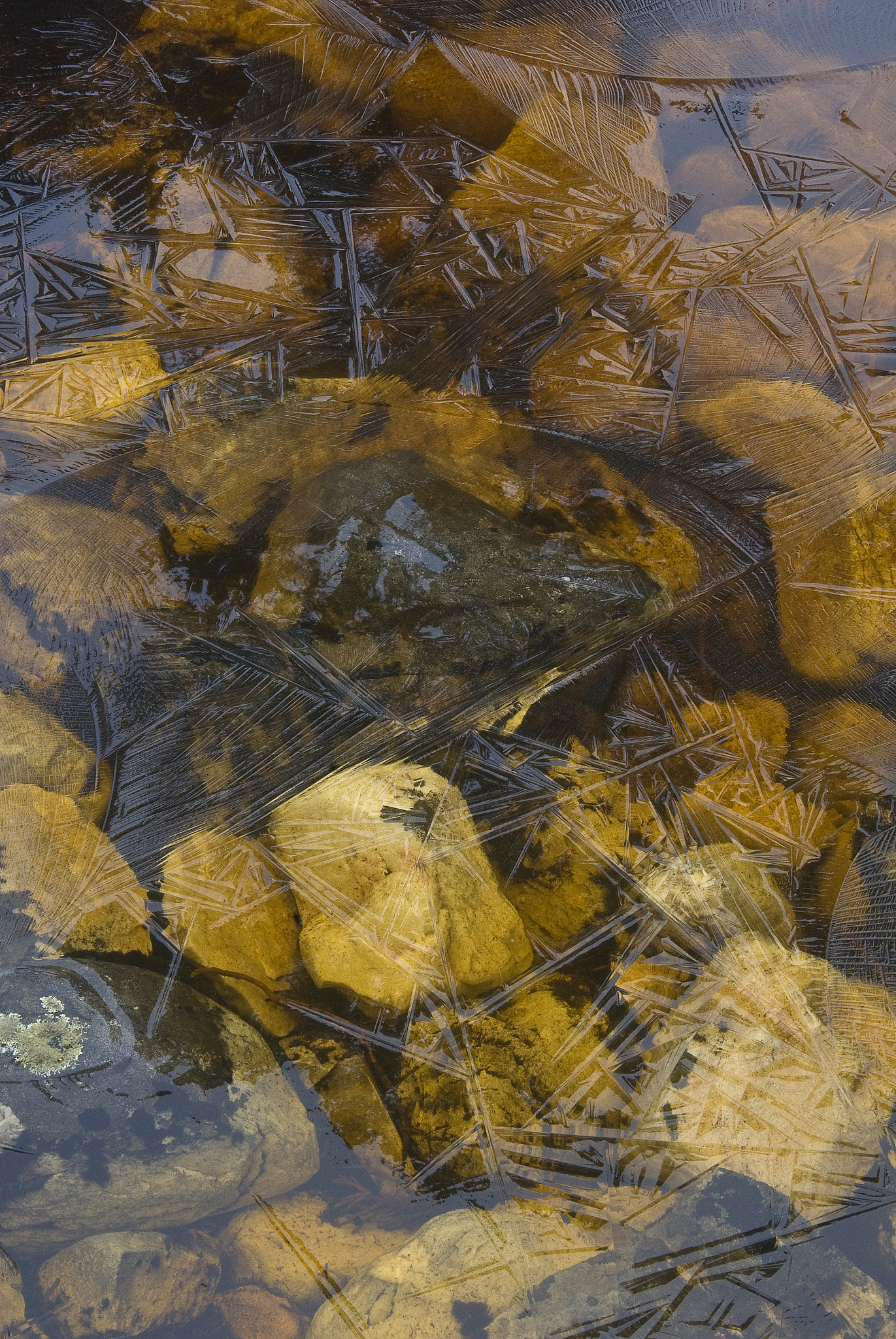 an ice covered tarn in the cradle mt national park, tasmania, au