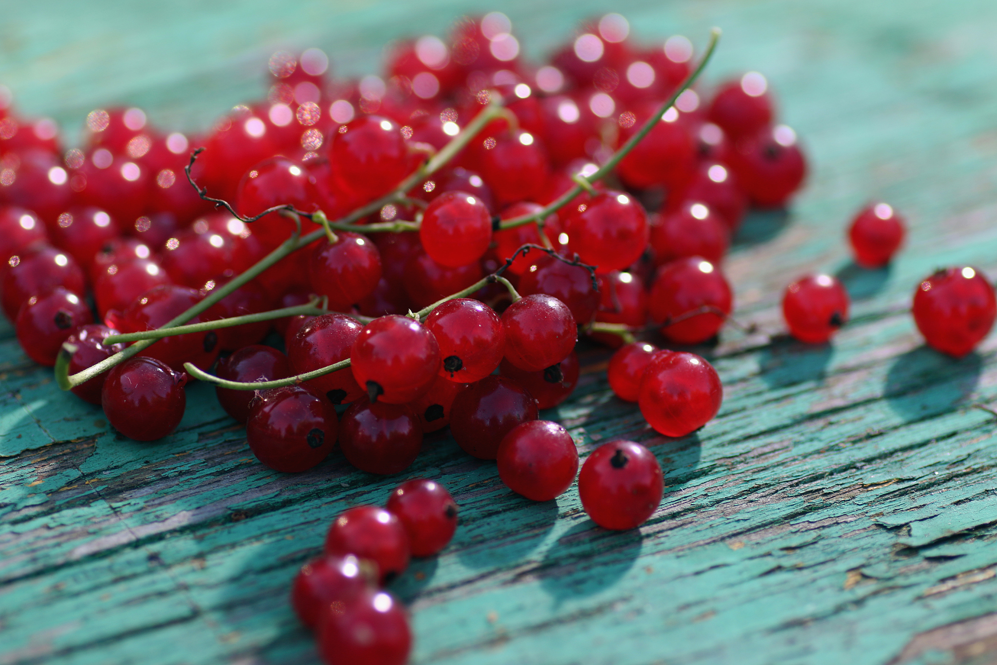 scattering of red currants
