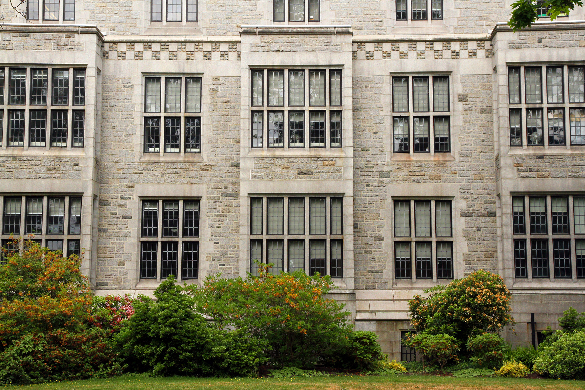 university