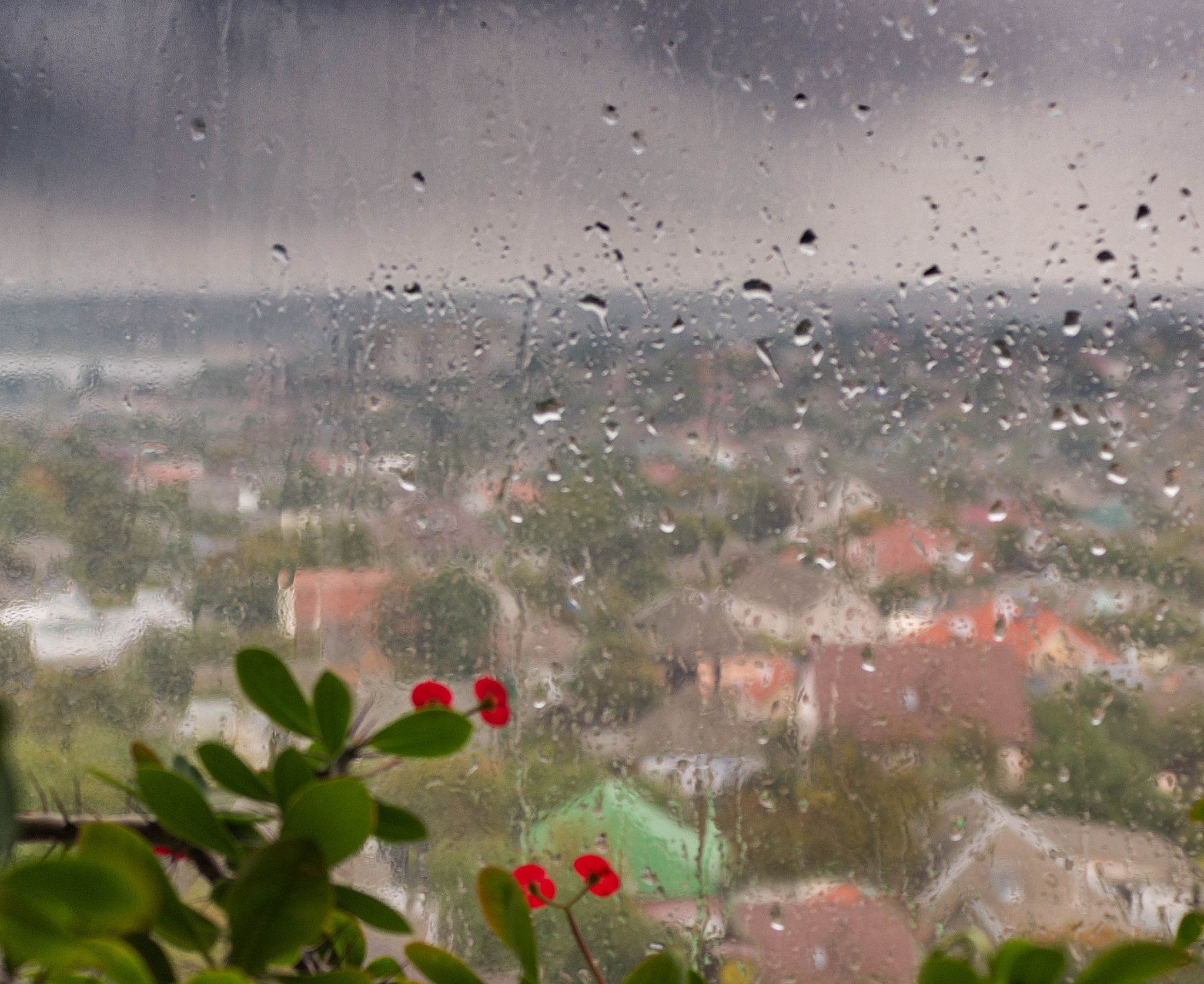 怎么表达你家的阳台很漂亮可以观赏下雨