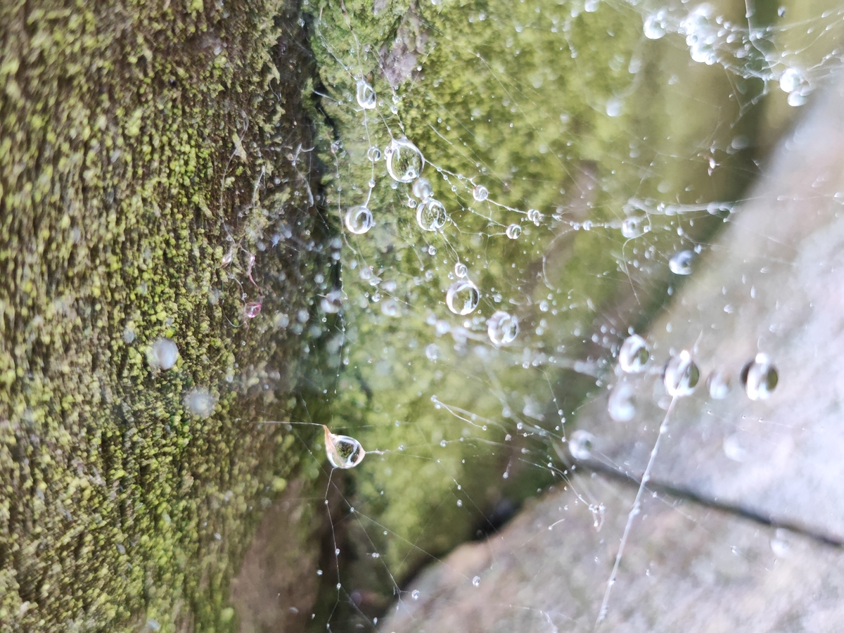雨天：诗意与宁静的洗礼