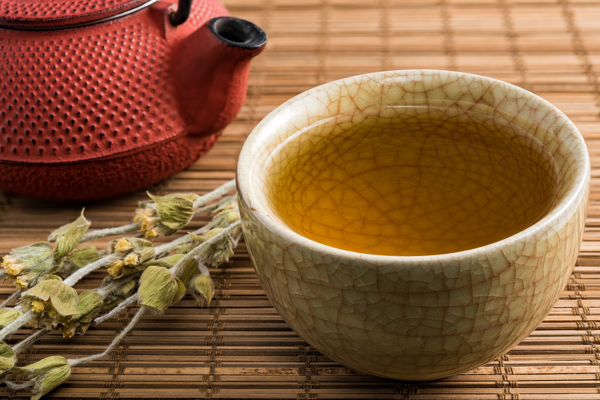 婺源茶业职业学院单招药剂专业怎么样？就业前景、师资力量、教学设施分析