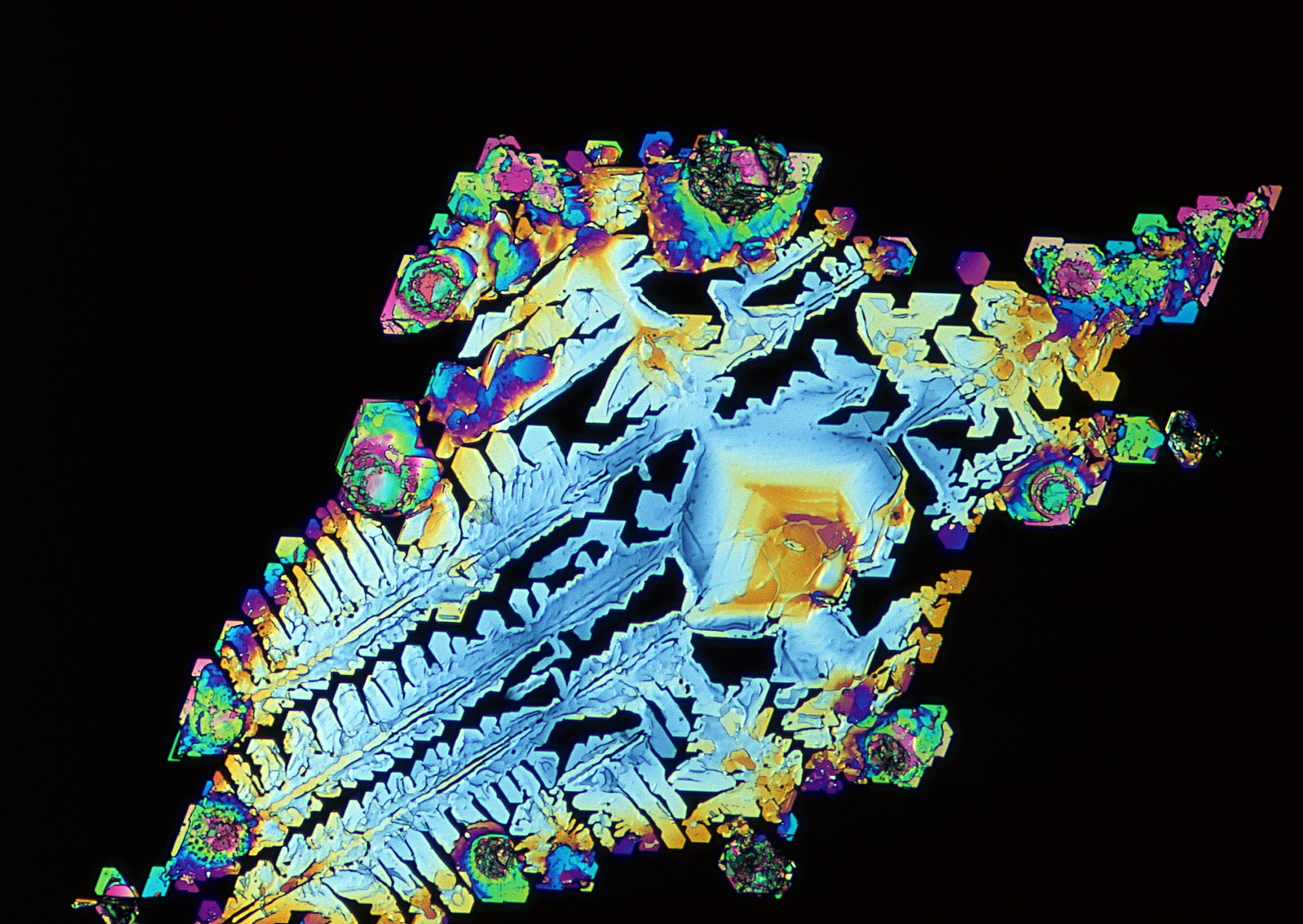 山鸢尾花和维吉尼亚鸢尾花的 3D 分类可视化：使用超平面进行区分