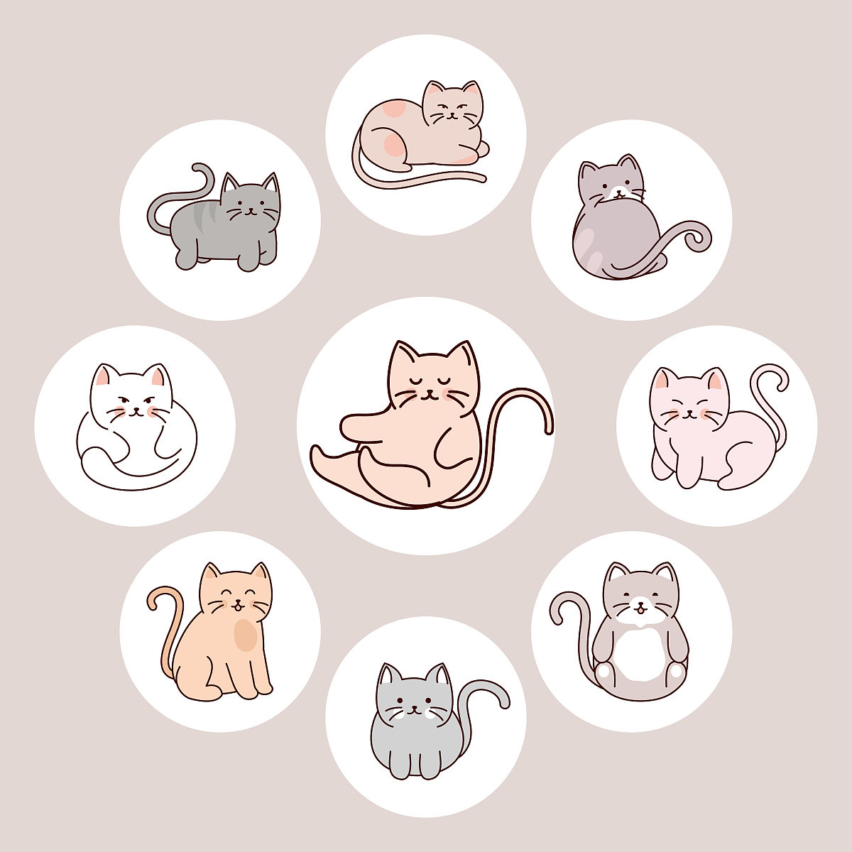 猫十二分类任务：提升准确性和有效性的关键要素