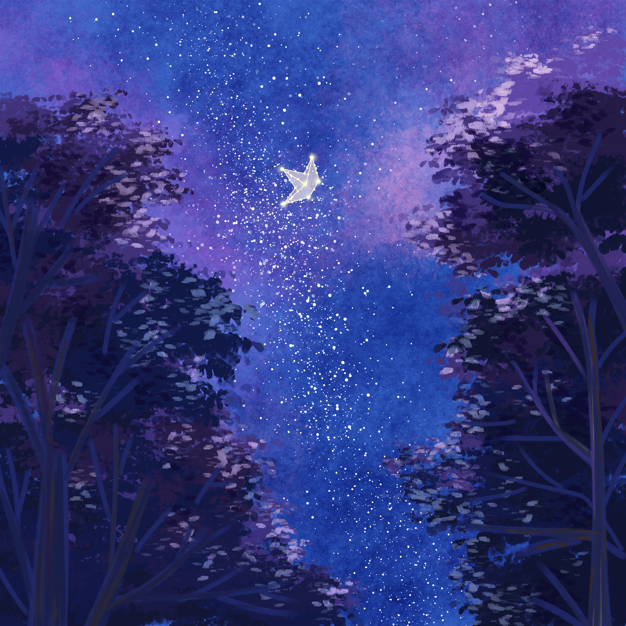 夜空中的星星：宝石盒里的闪耀与寂寞