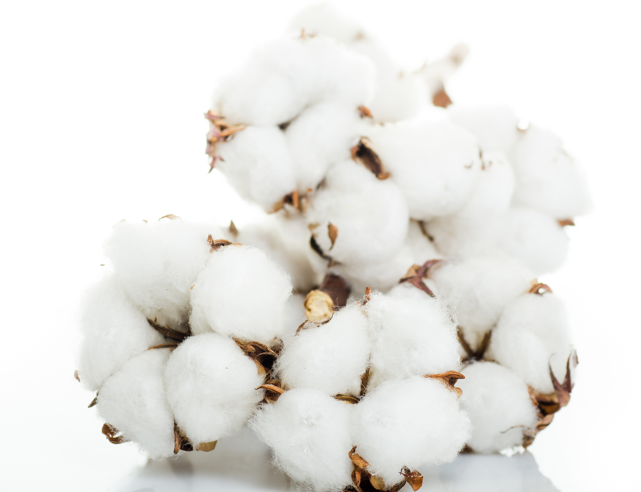 棉花检验：了解棉花质量的全面评估