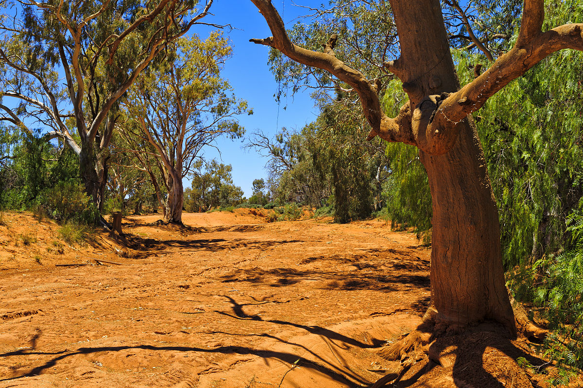 在土壤采样布点过程中可以采用对角线布点法、梅花形布点法、棋牌式布点法和