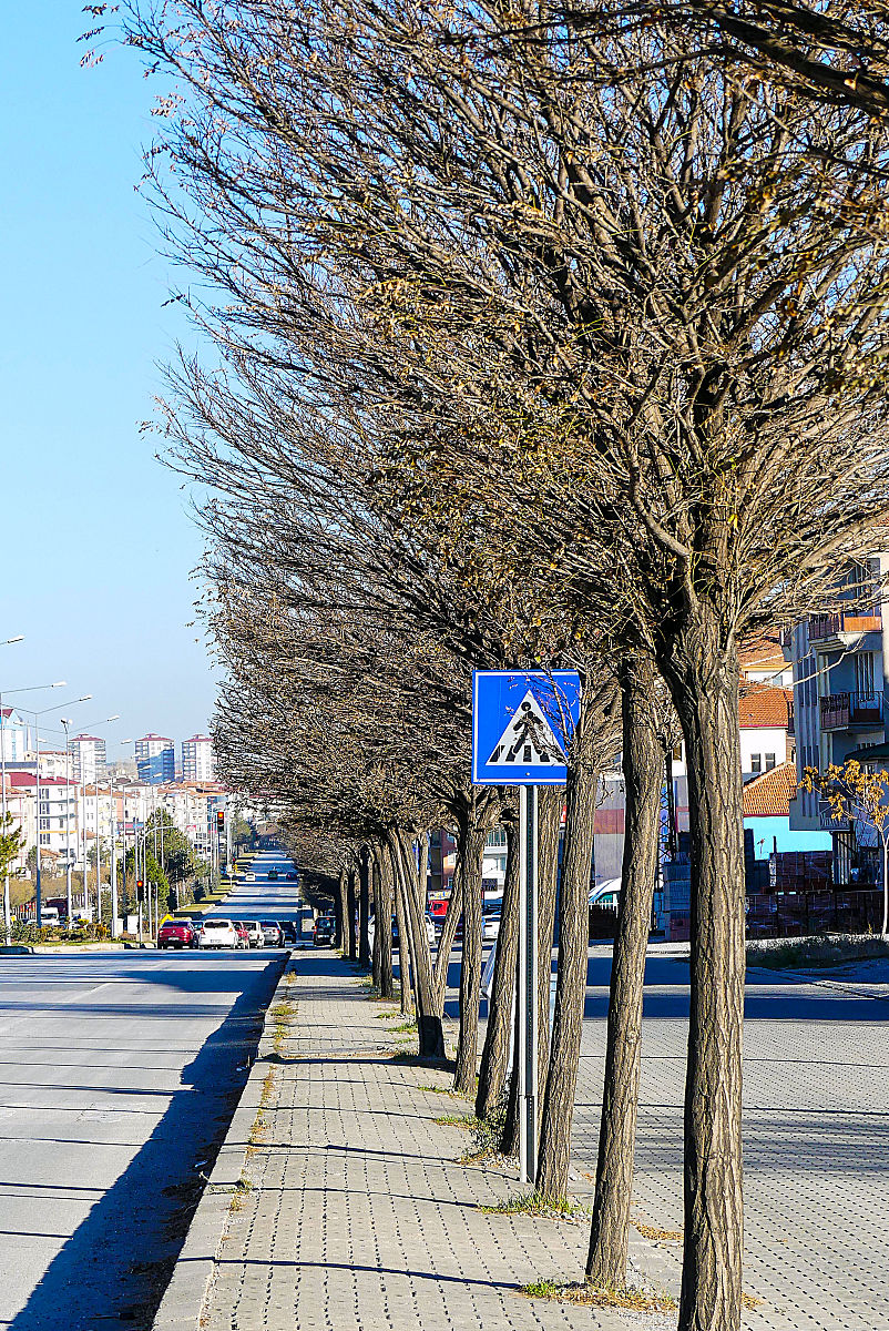 张掖高等医学专科学校有哪些专业