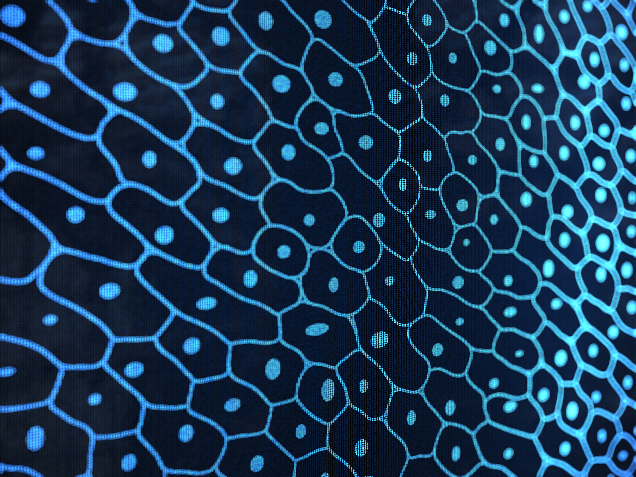 生物体内部环境与外部环境：生命活动的平衡