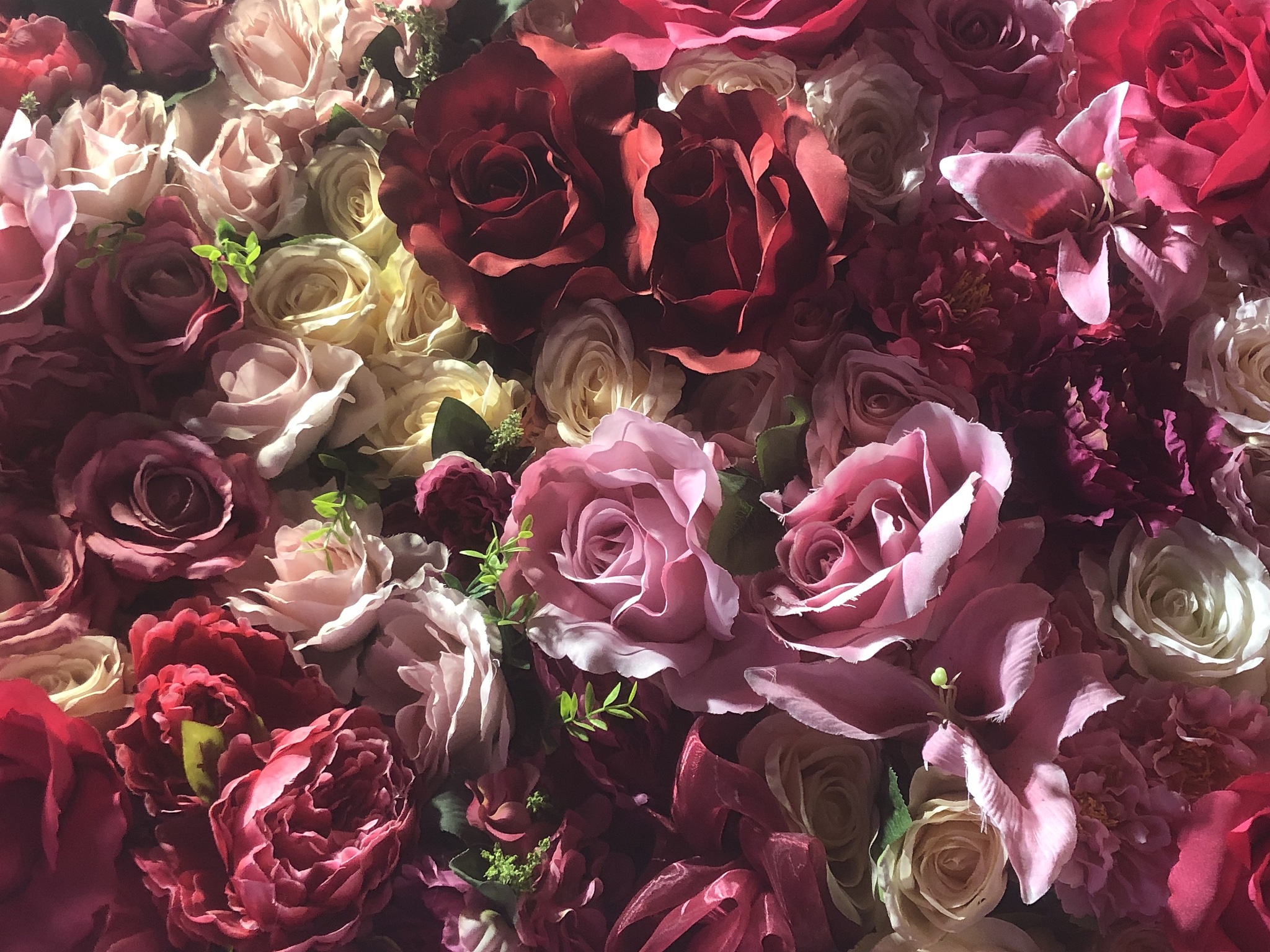 请用butterfly和rose融合成一个全新的单词并解释它的意思