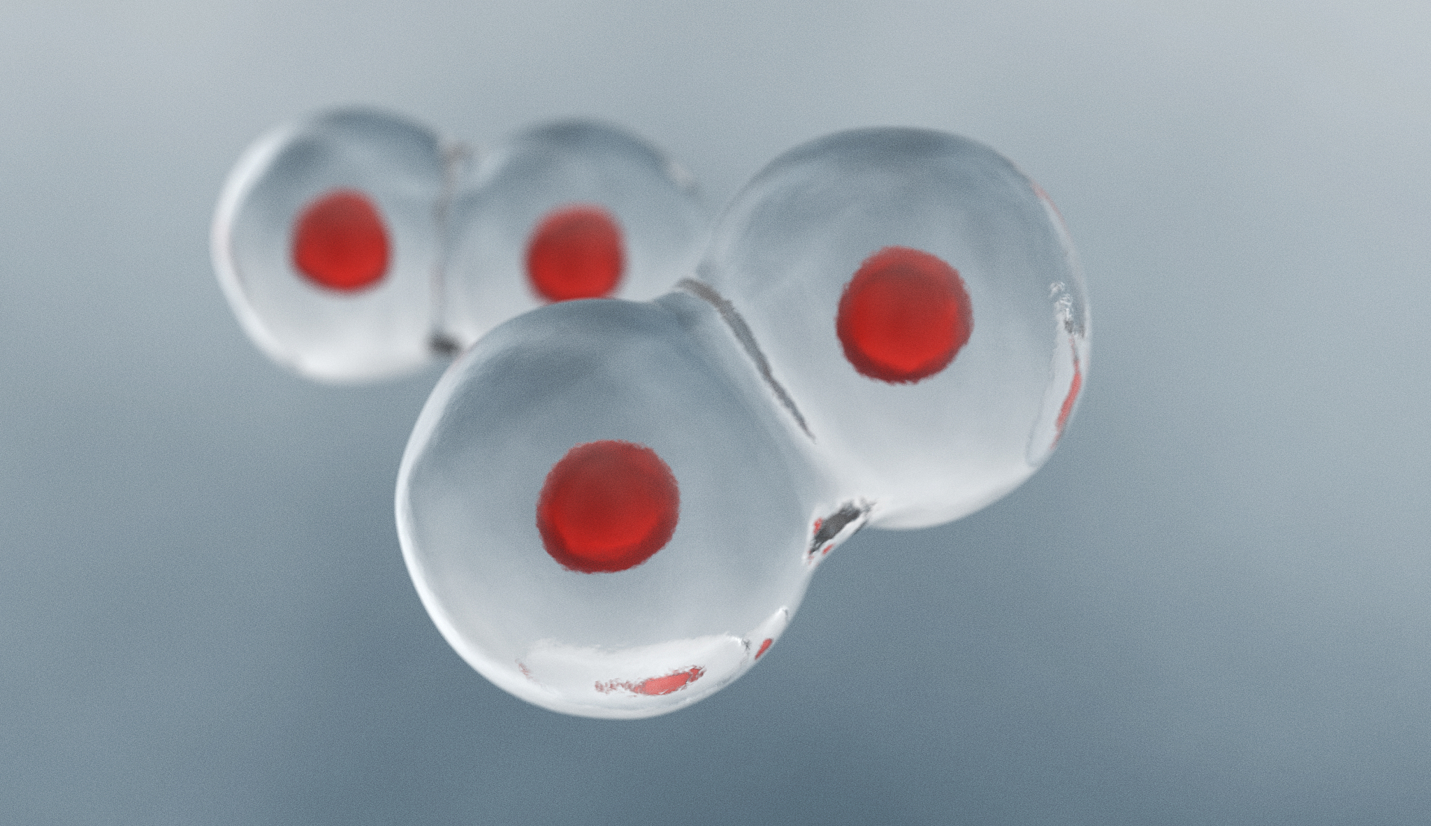 叶酸与活性叶酸区别