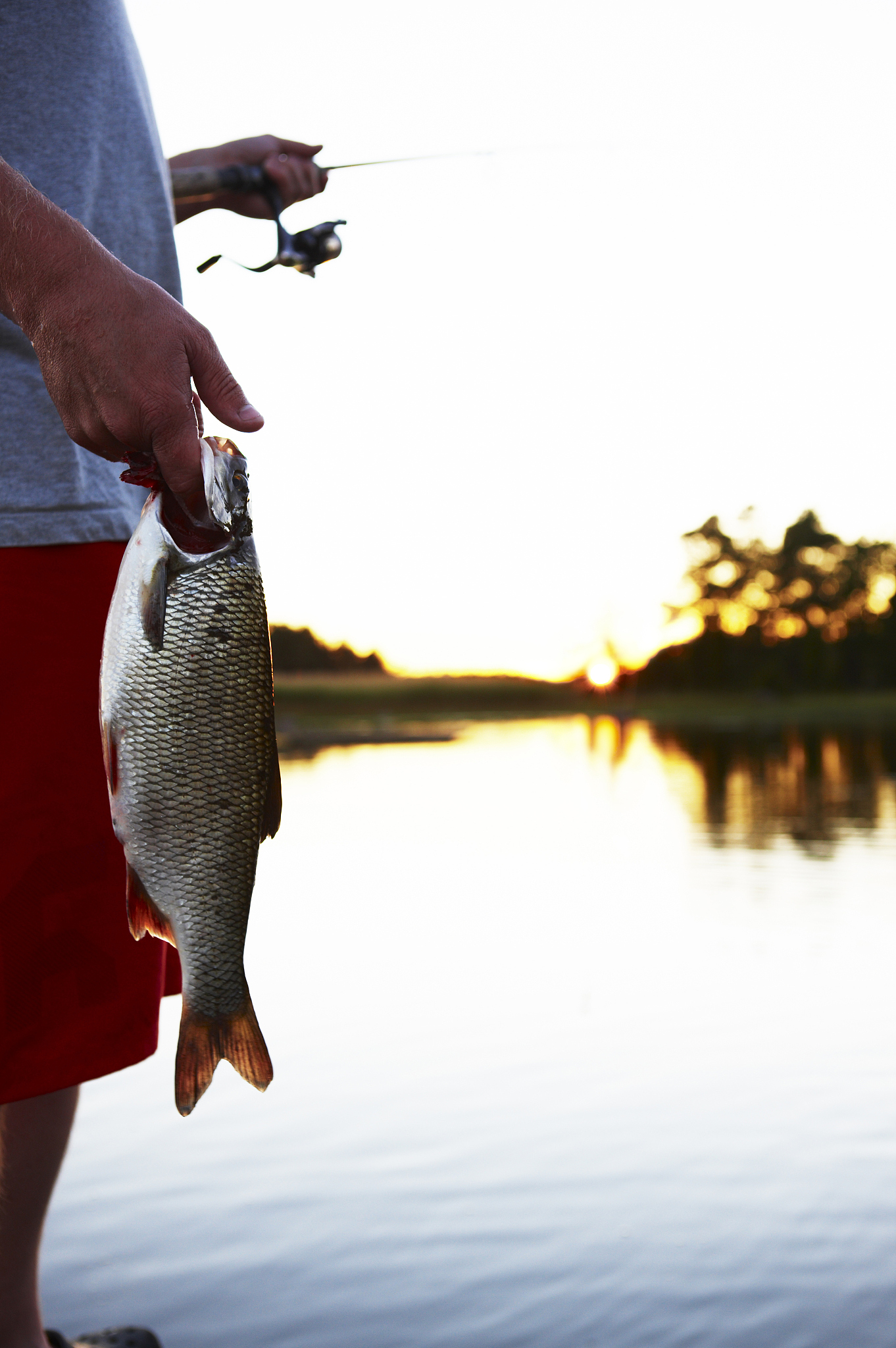 太湖钓叟三字诀：300字详解钓鱼技巧