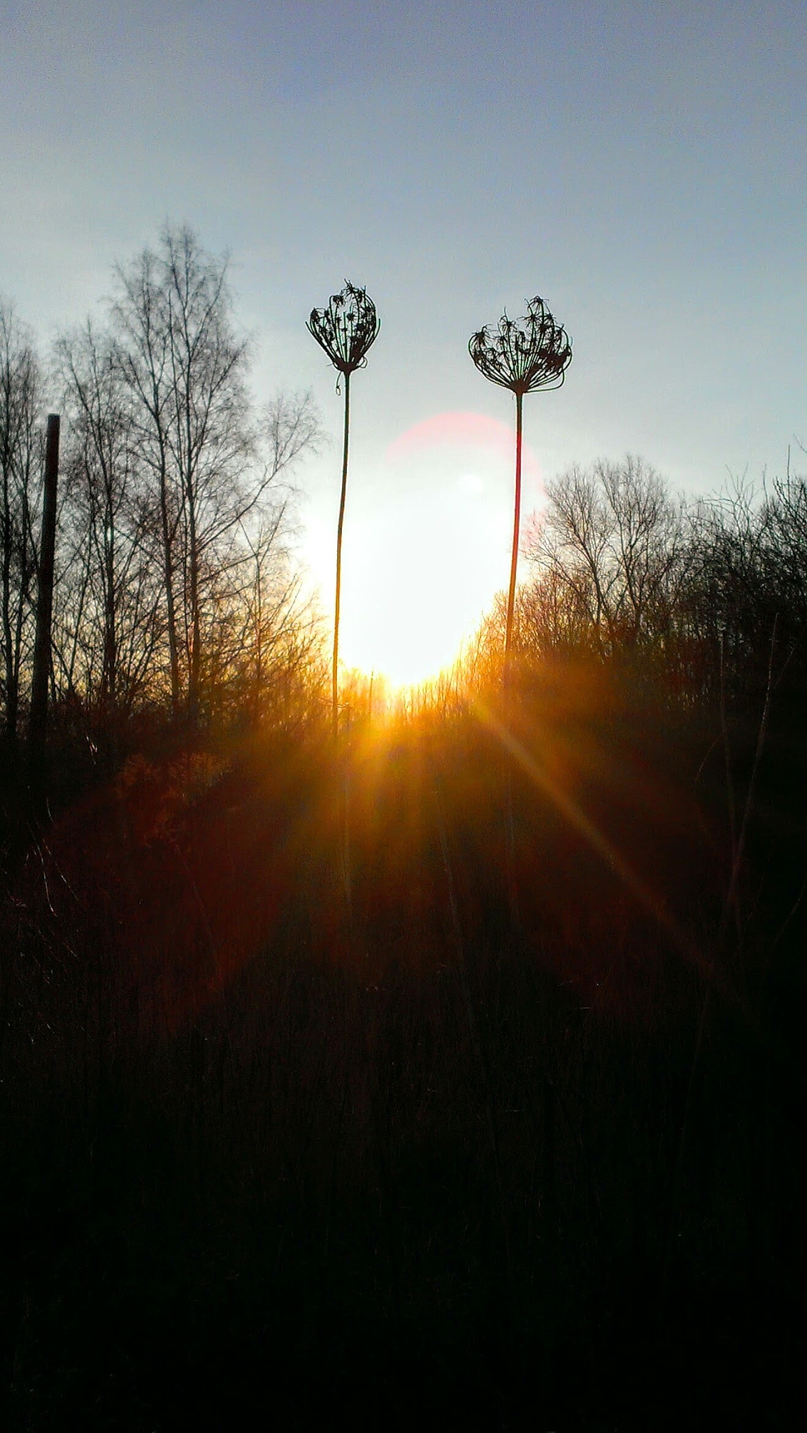 不灭的灯：希望和力量的象征