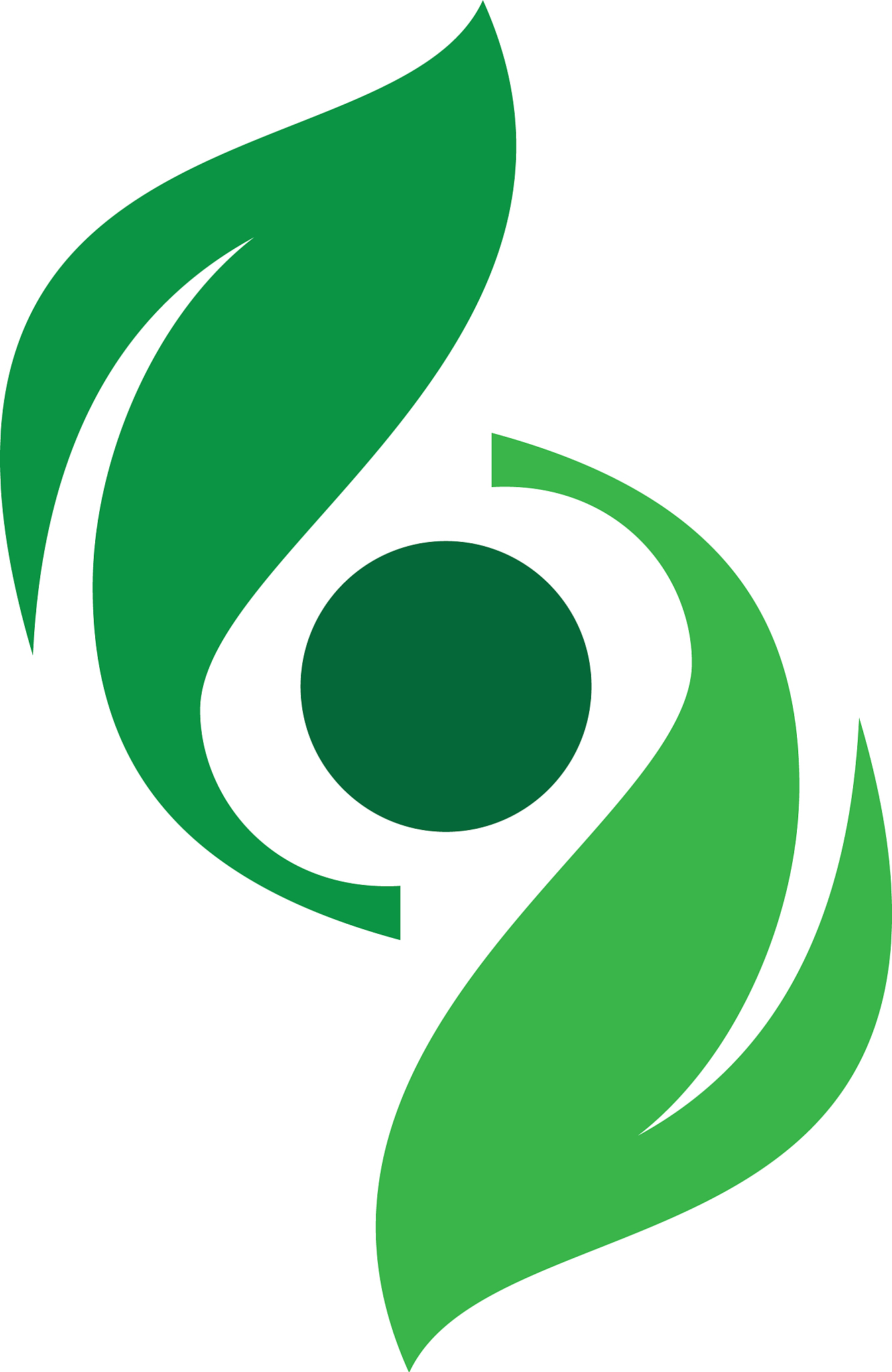abstract leaf spin eco logo image