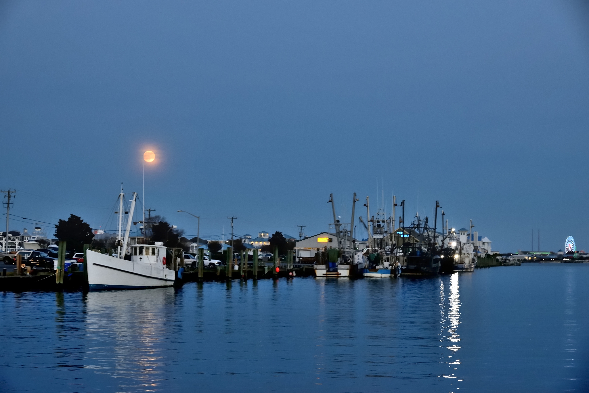 harbor under full moon