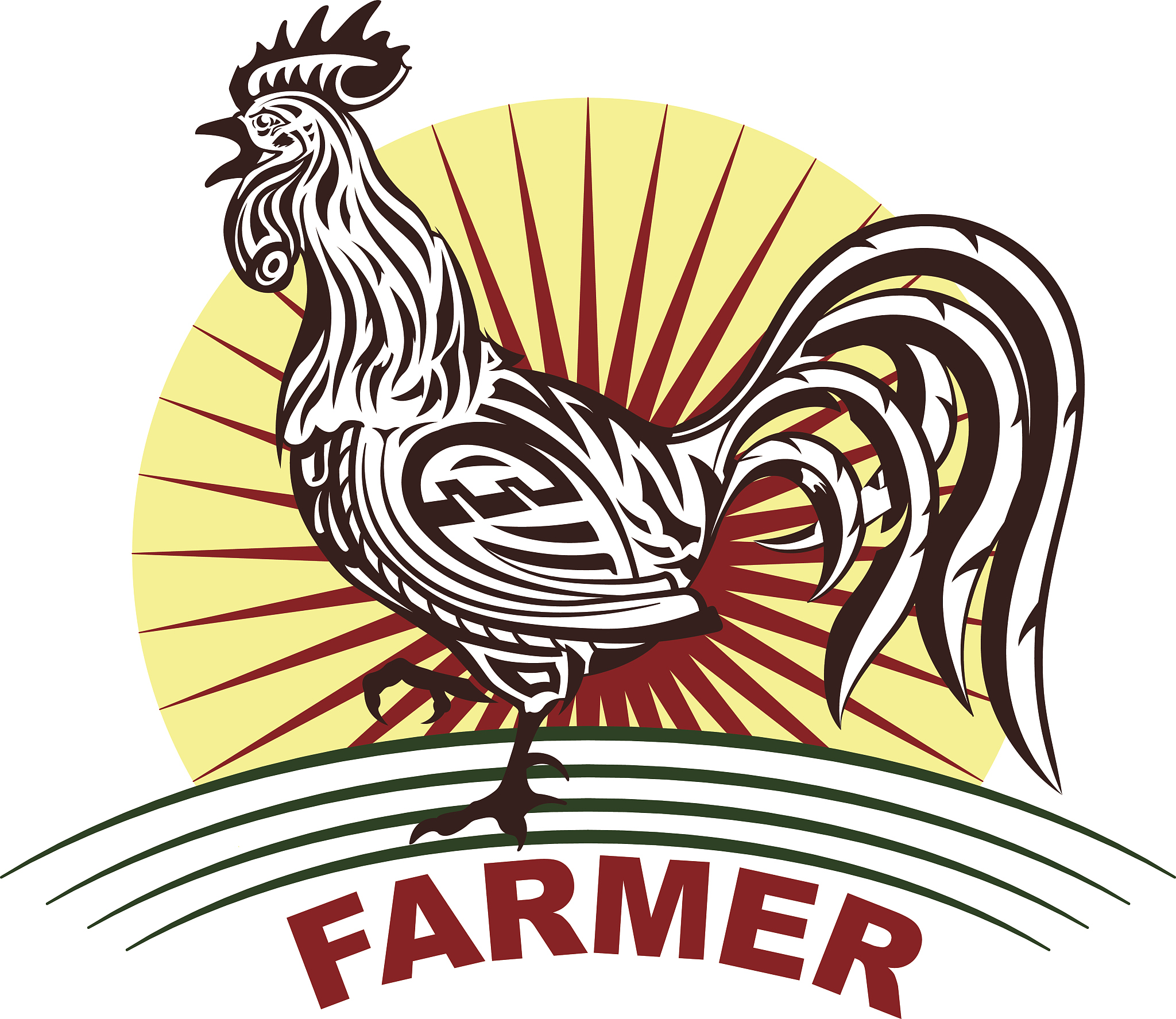 篮球和鸡：意想不到的联系