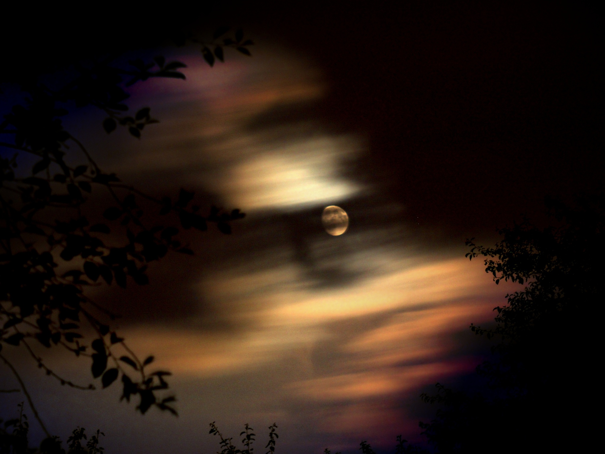 你好您好！有什么可以帮到您呢？我想听明月夜的歌好的明月夜的歌曲有很多您想听哪一首呢？都行好的我为您推荐几首明月夜的歌曲：1《明月几时有》- 朱哲琴2《明月千里寄相思》- 韩红3《明月楼》- 齐秦4《明月照我心》- 张学友5《明月几时照我还》- 刘珂矣希望您喜欢！唱明月几时有我听