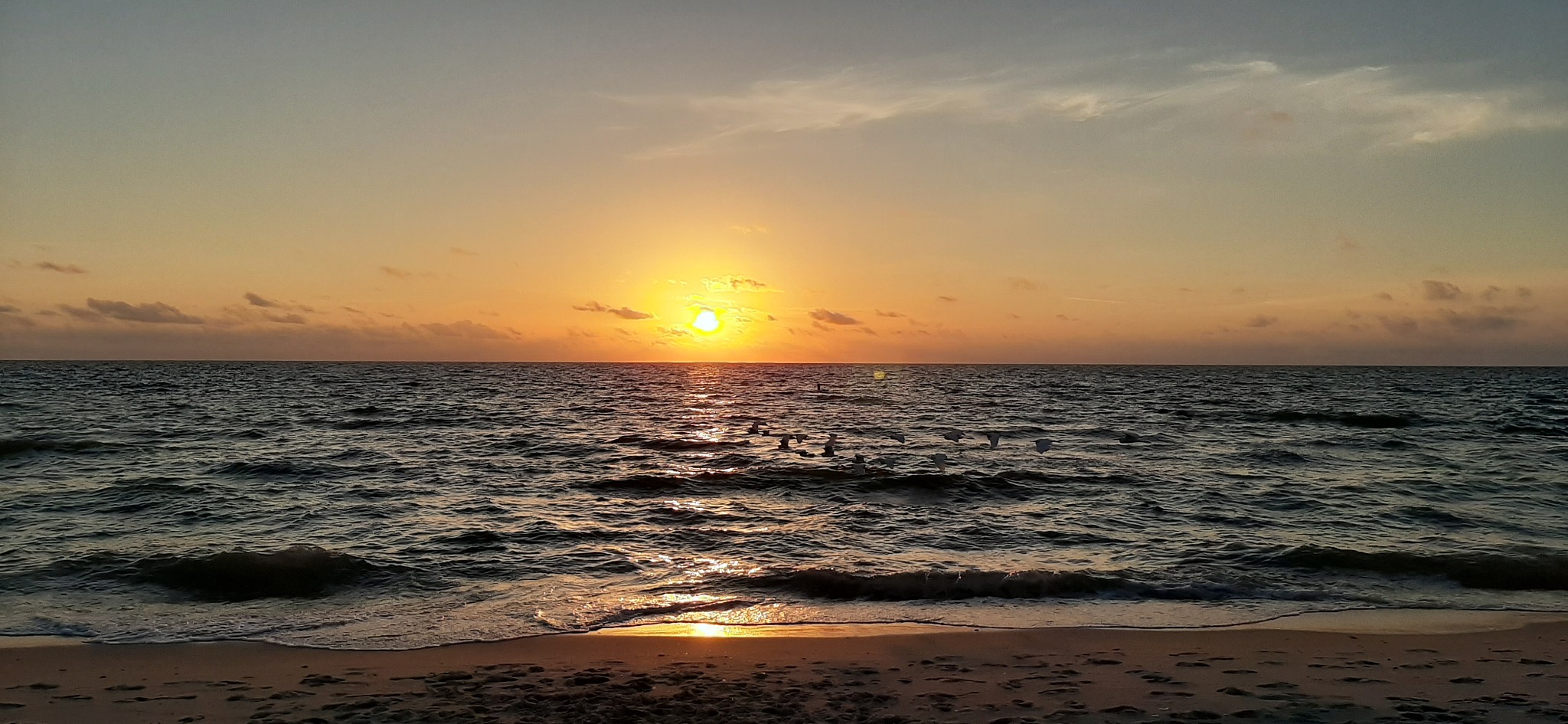 2022年宜春职业技术学院电梯工程技术专业招生