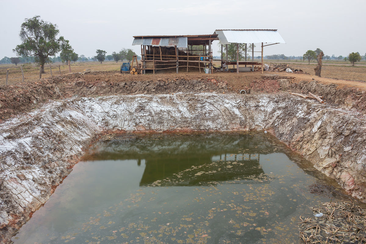 污泥填埋：违法行为及应对措施