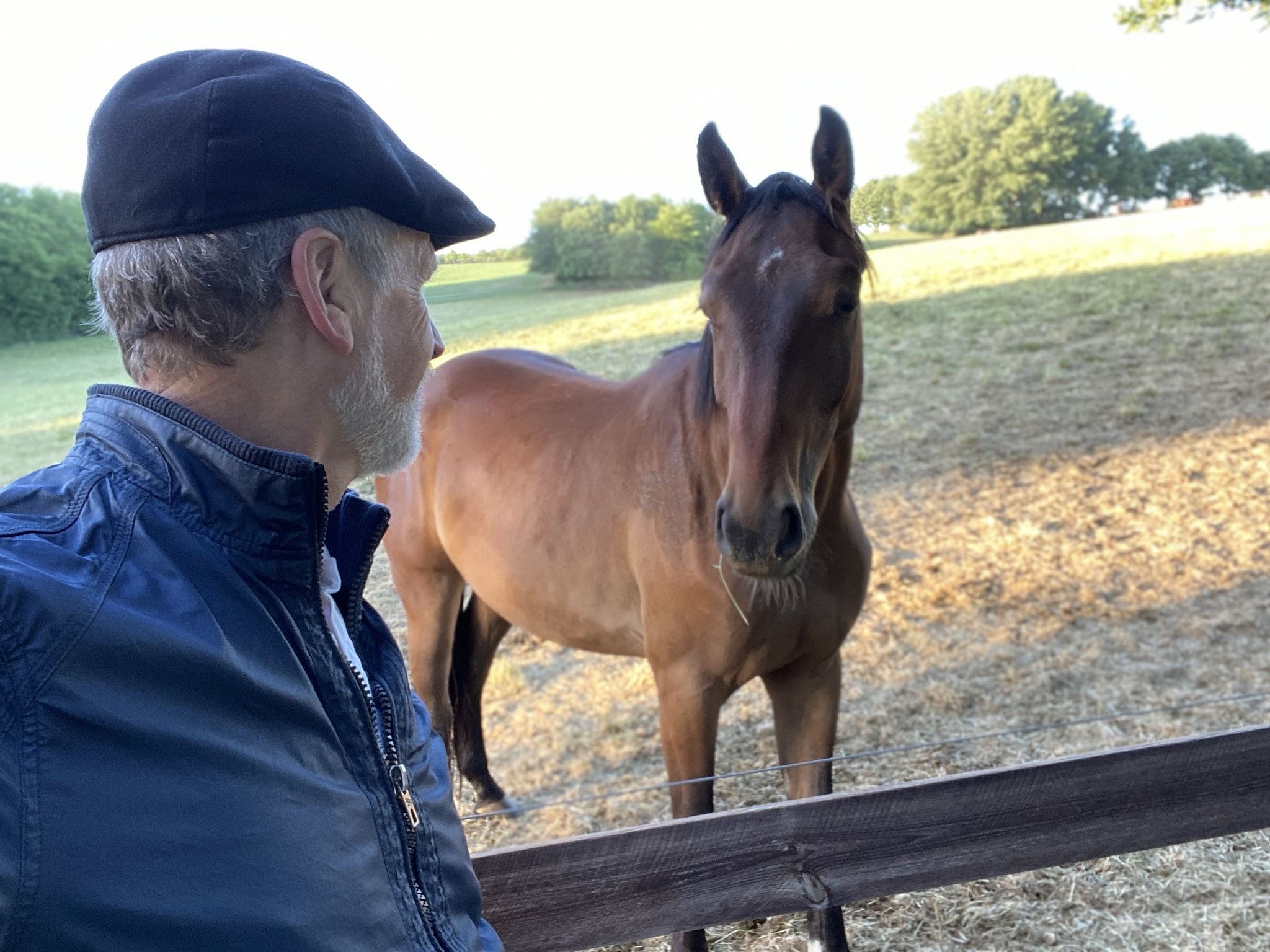 close welcome  to horses