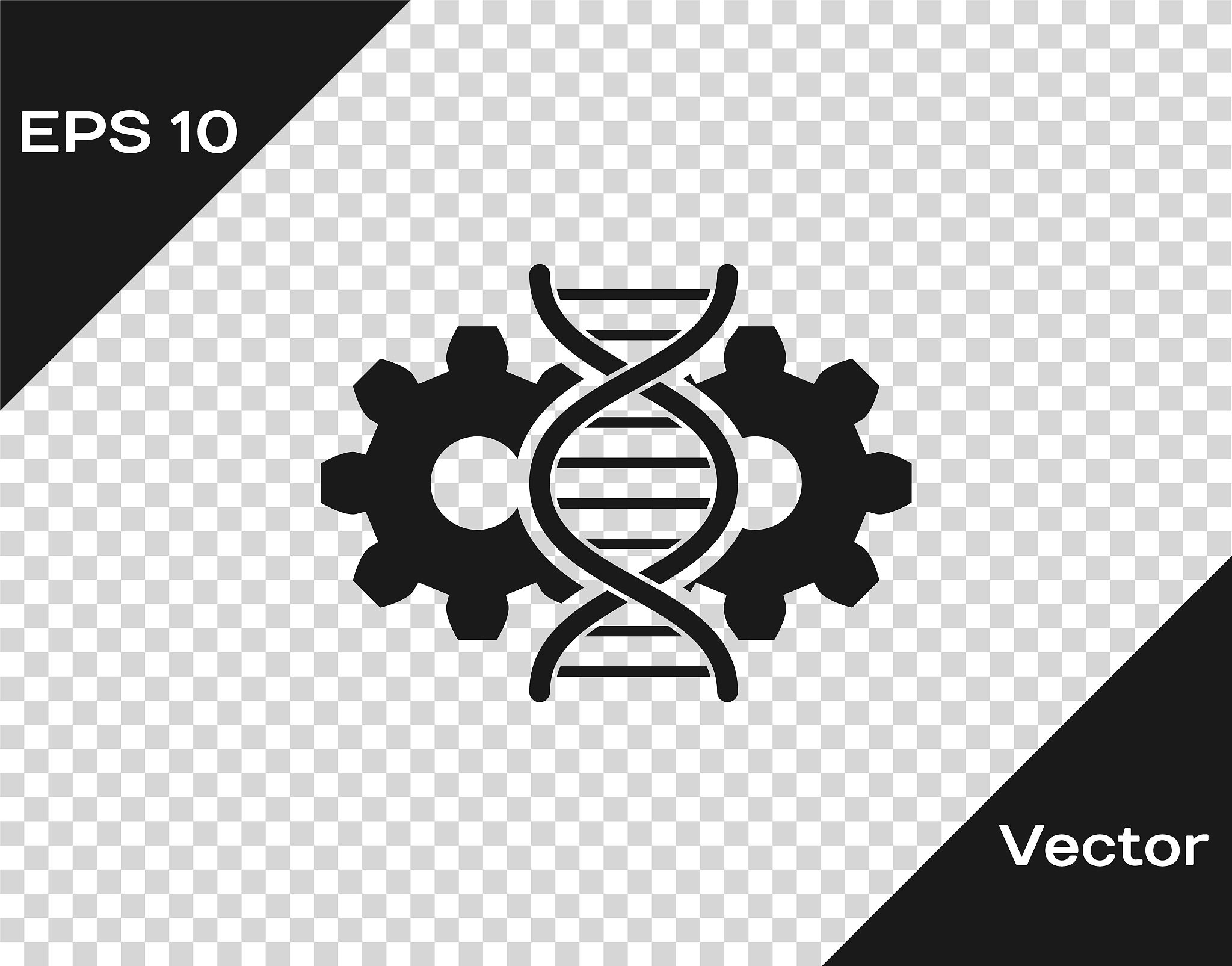 关于dna