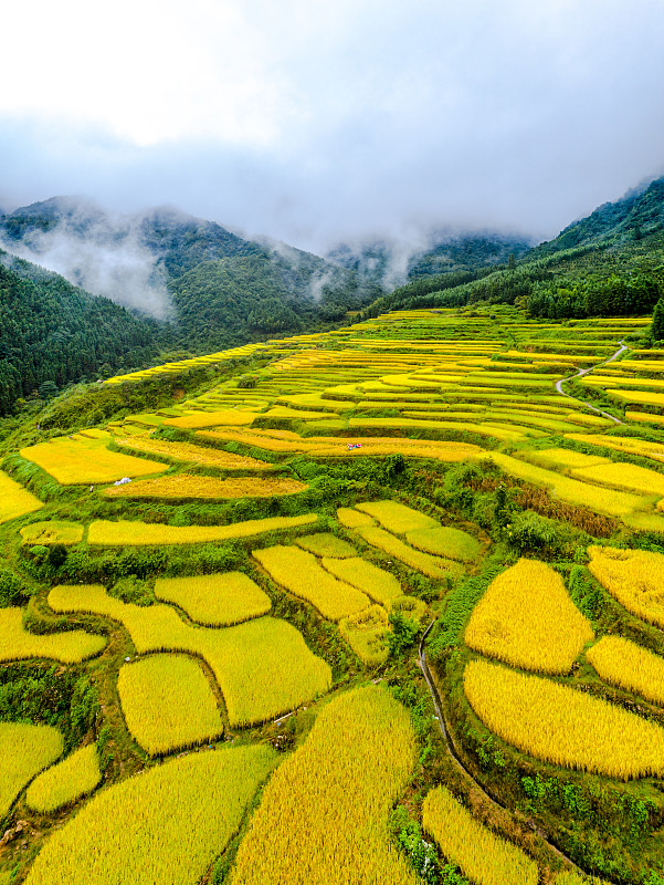 清远求助热线大全：紧急情况如何快速联系？