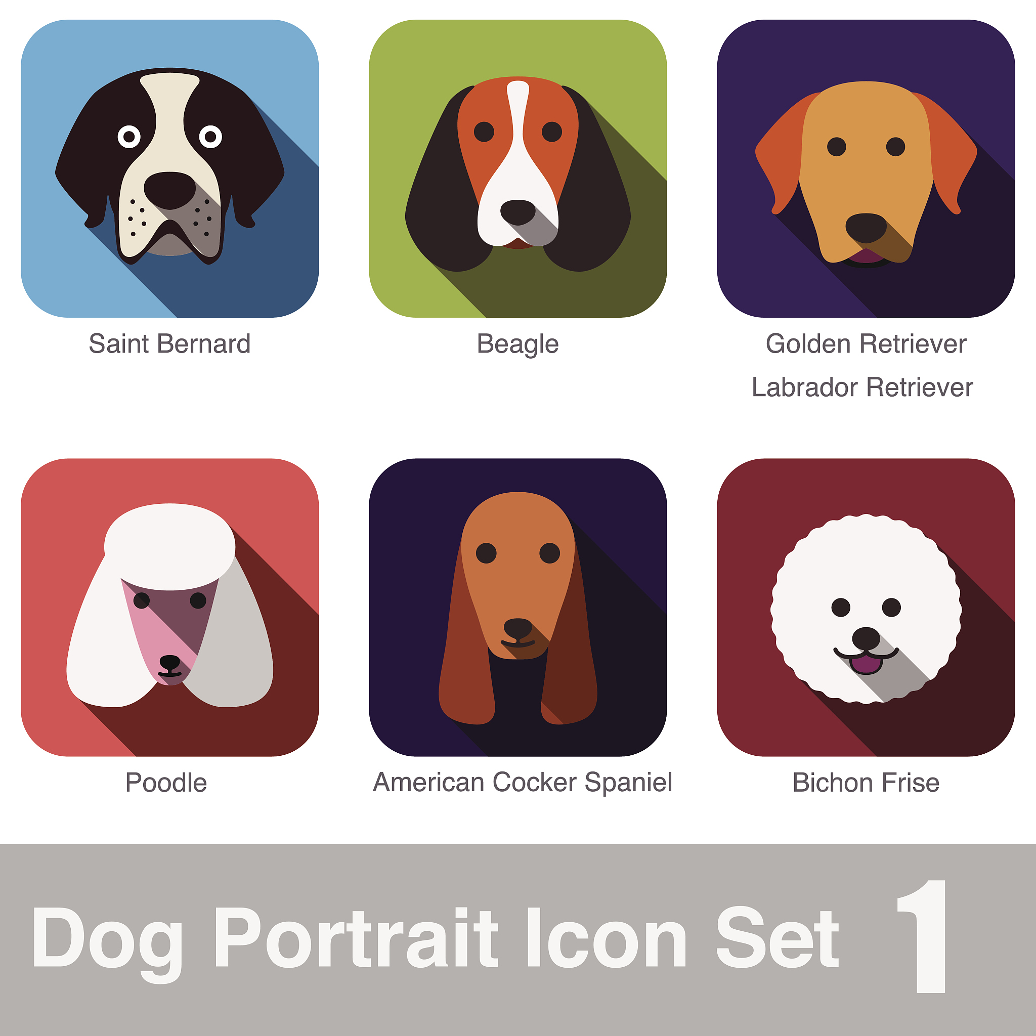 使用 Pandas 和 Matplotlib 分析狗狗币历史价格