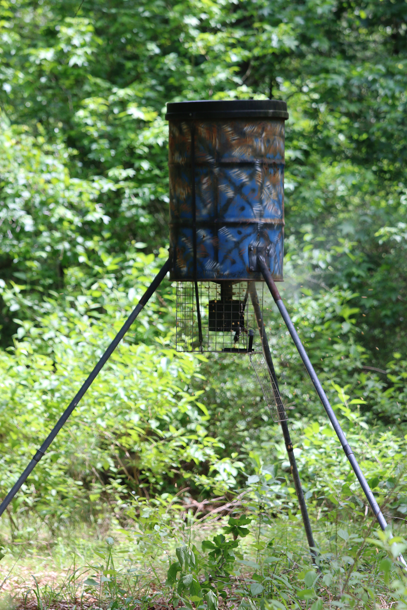 deer feeder