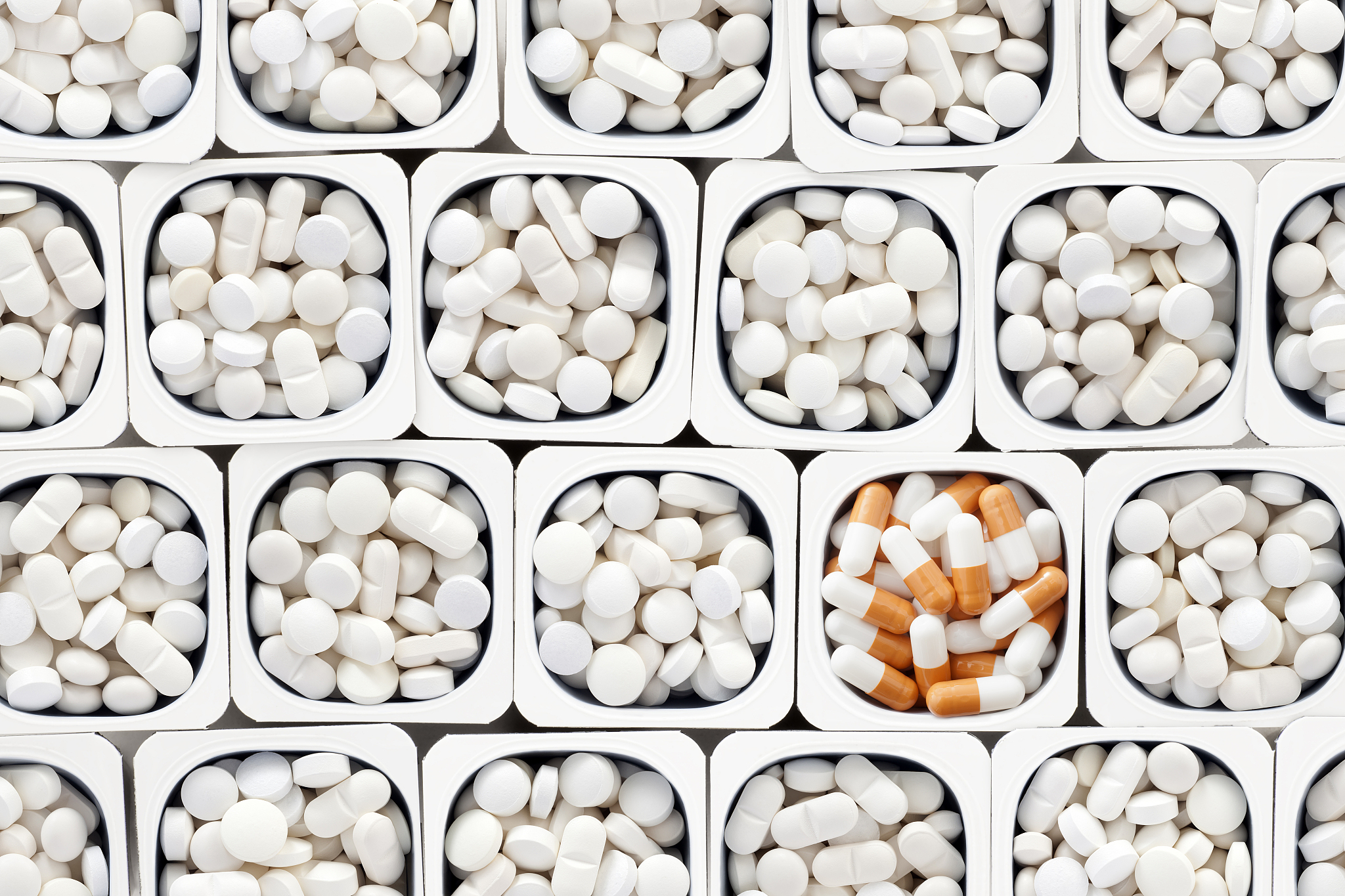 大鼠维生素D中毒高血钙模型构建及机能学研究