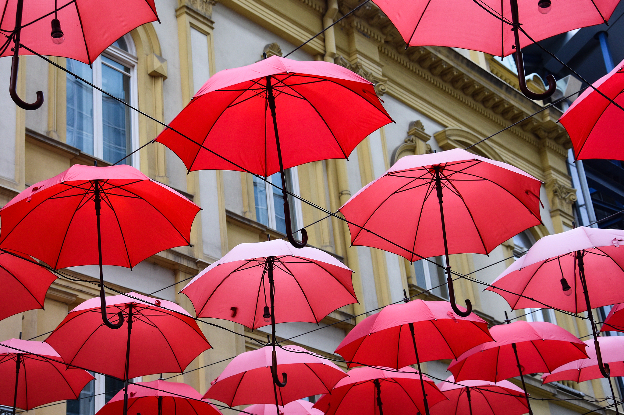 floating umbrellas